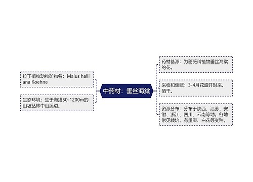 中药材：垂丝海棠