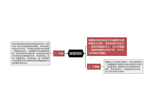 厚壁组织