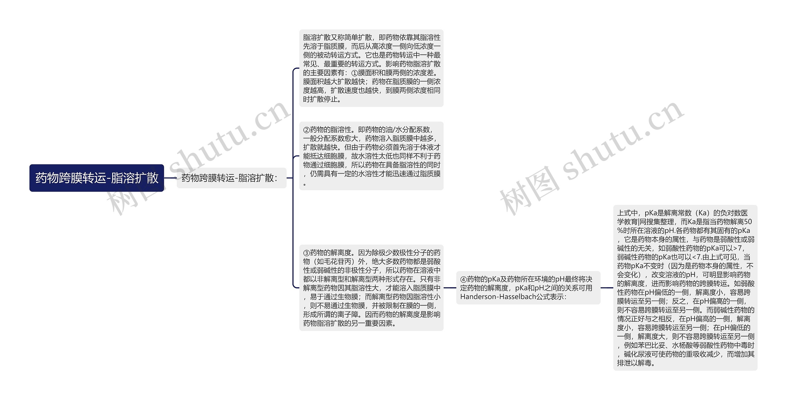 药物跨膜转运-脂溶扩散思维导图