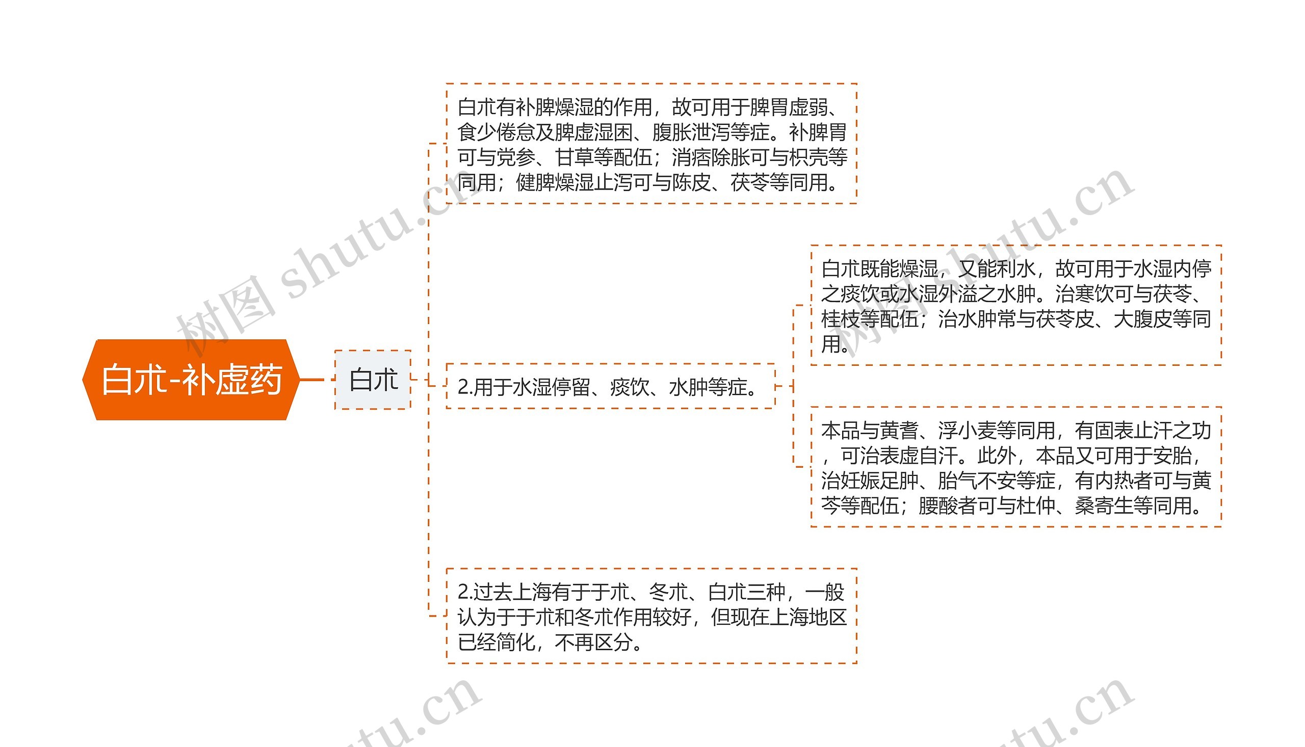 白朮-补虚药思维导图