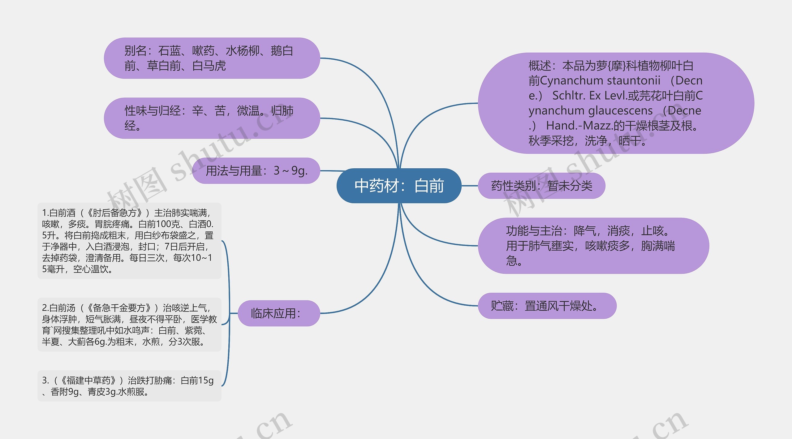 中药材：白前思维导图