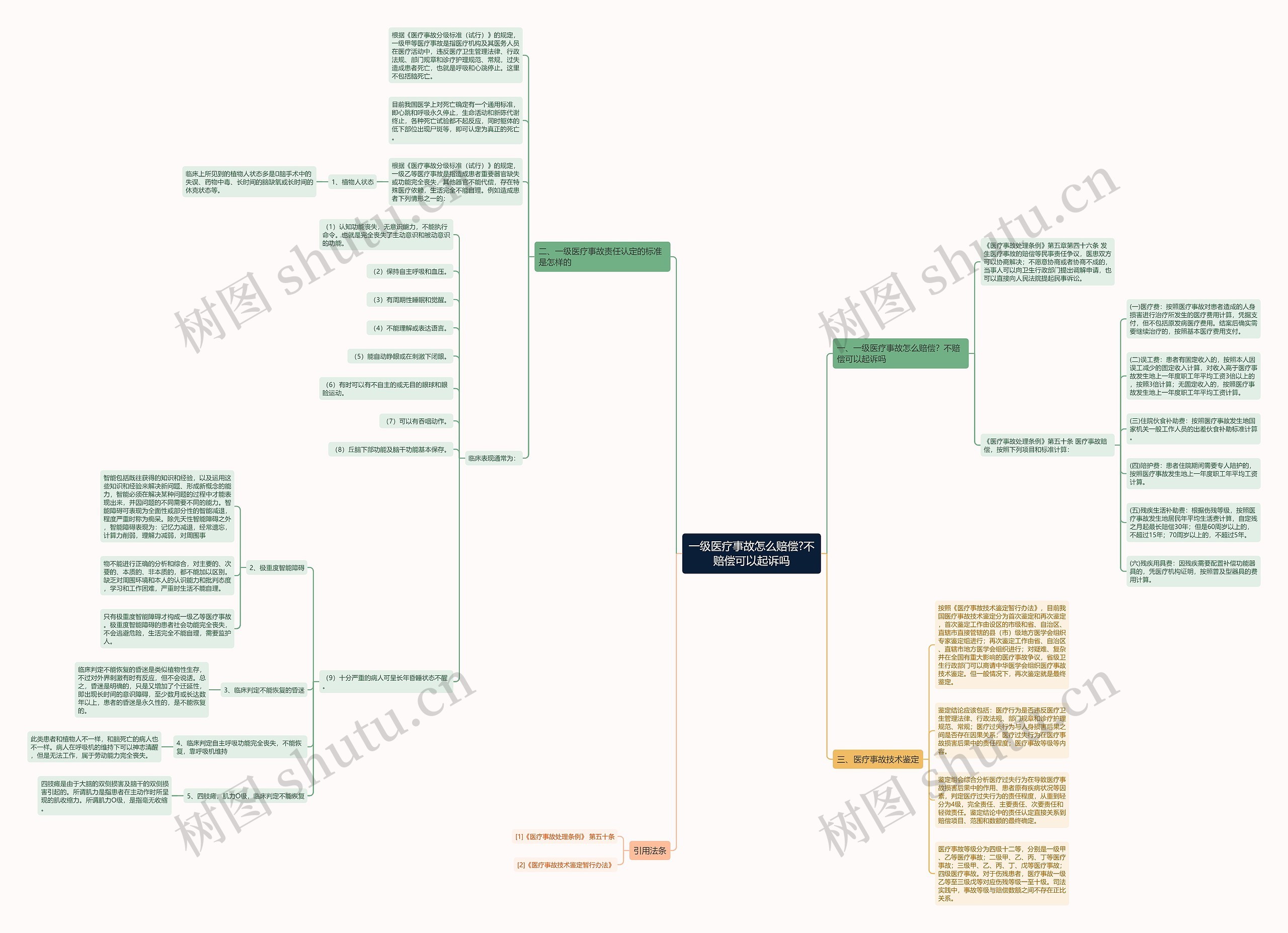 一级医疗事故怎么赔偿?不赔偿可以起诉吗思维导图