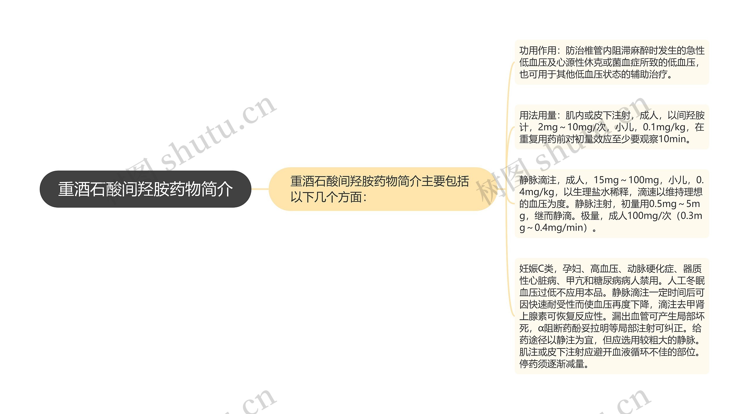 重酒石酸间羟胺药物简介