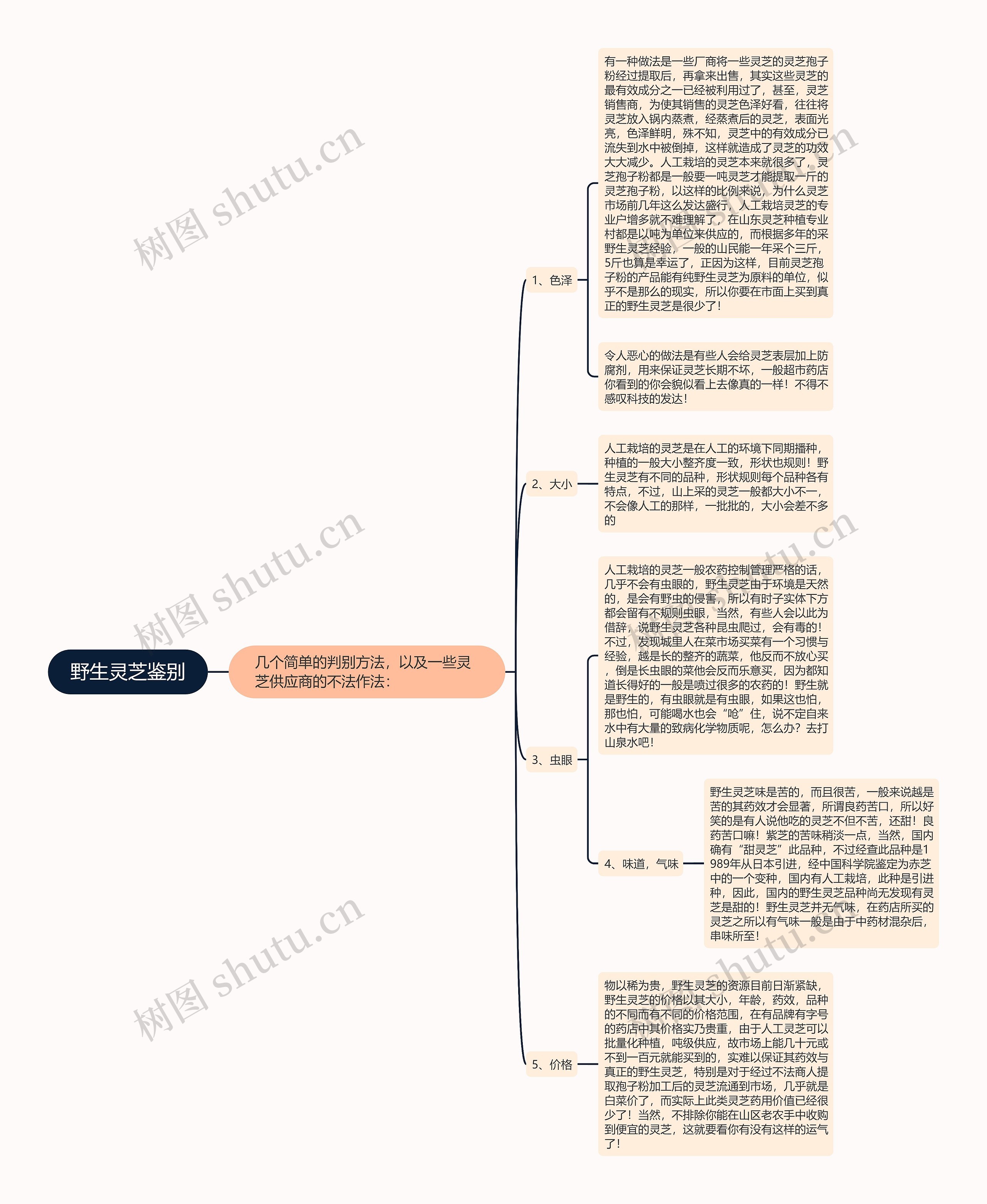 野生灵芝鉴别思维导图