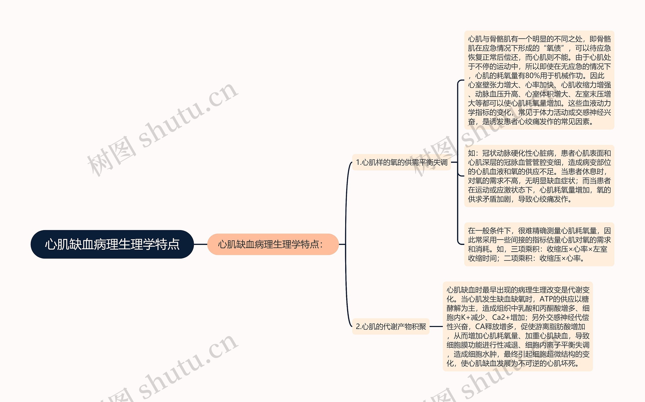 心肌缺血病理生理学特点