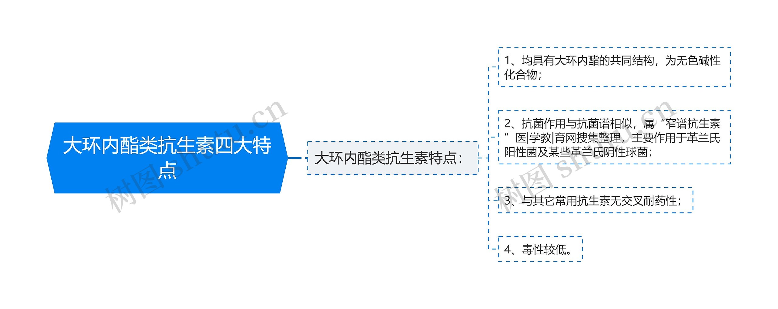 大环内酯类抗生素四大特点思维导图