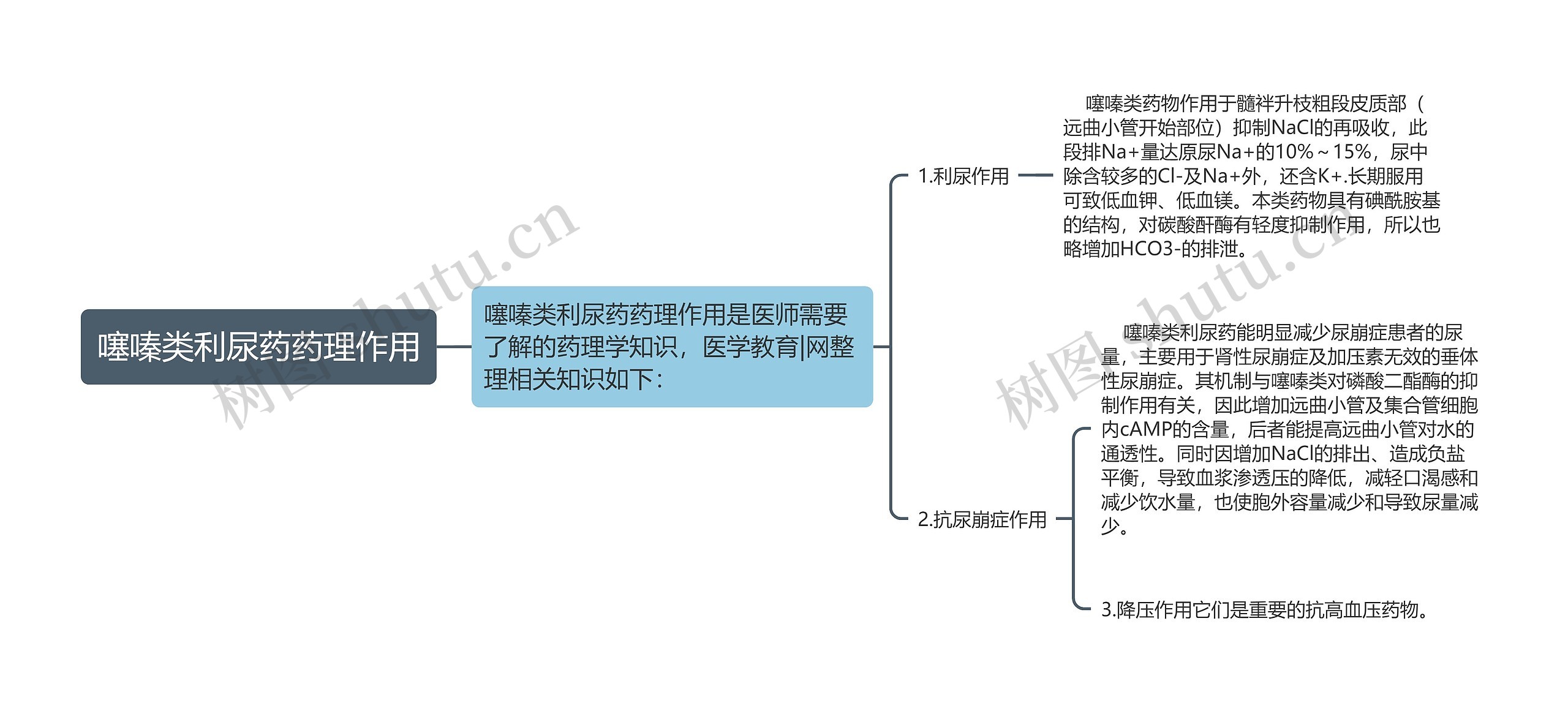 噻嗪类利尿药药理作用