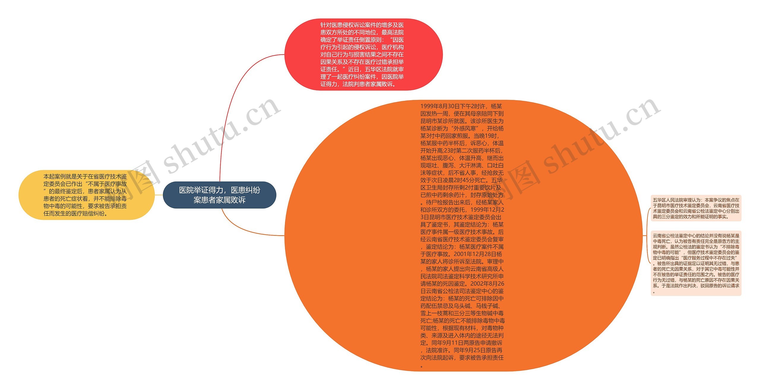 医院举证得力，医患纠纷案患者家属败诉思维导图