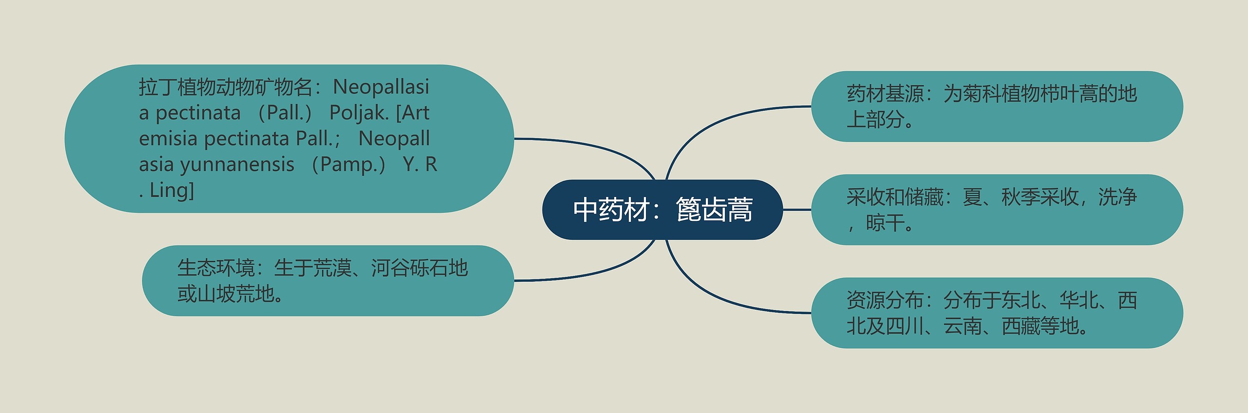 中药材：篦齿蒿思维导图