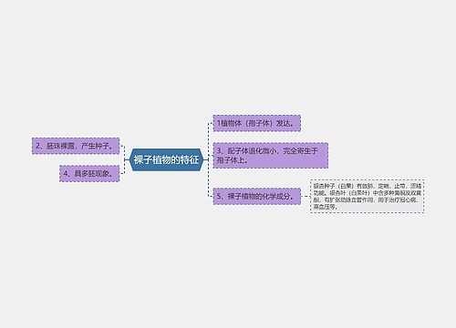 裸子植物的特征