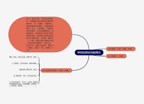 榉树皮炮制|功能|用法