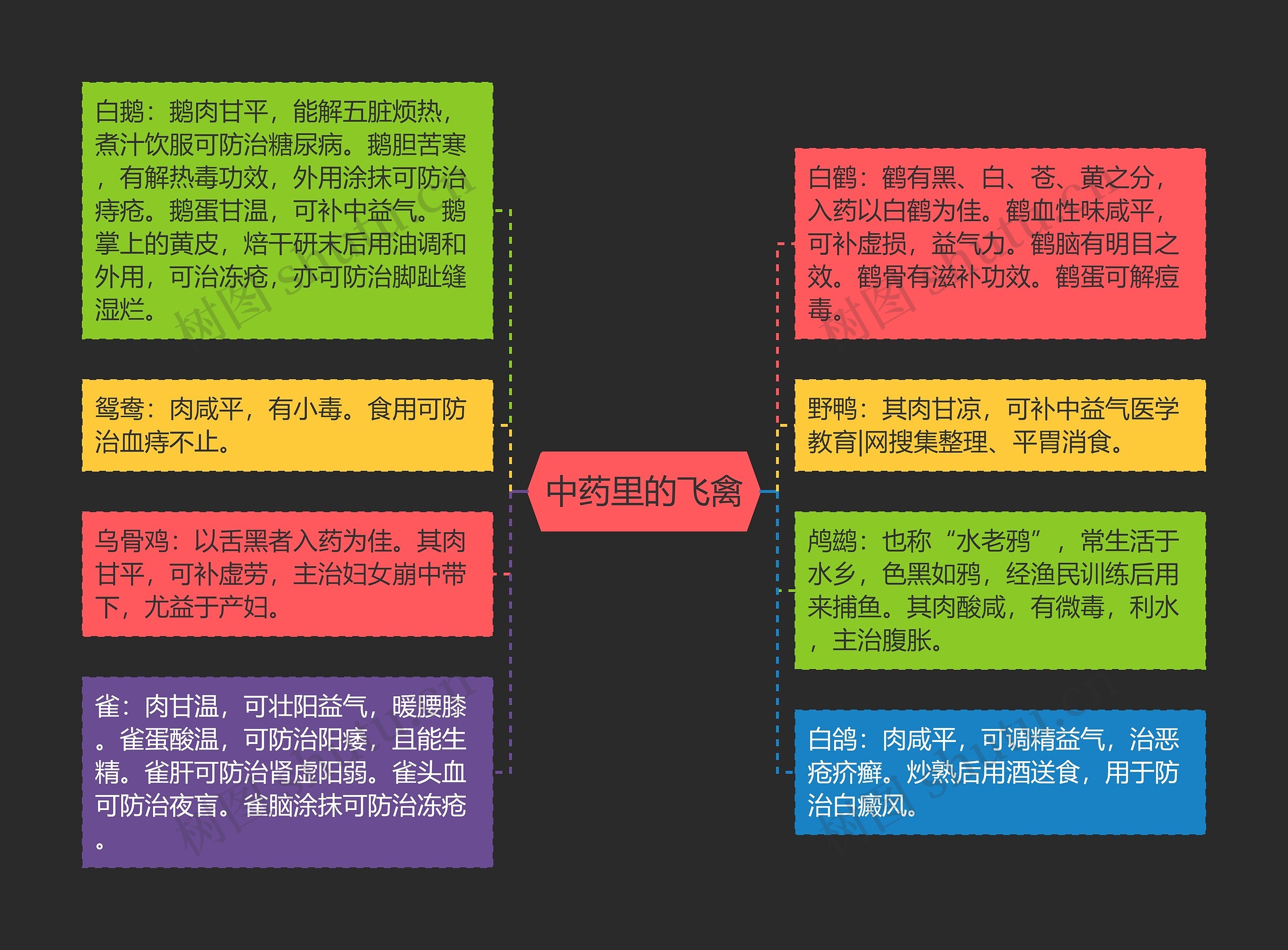 中药里的飞禽思维导图