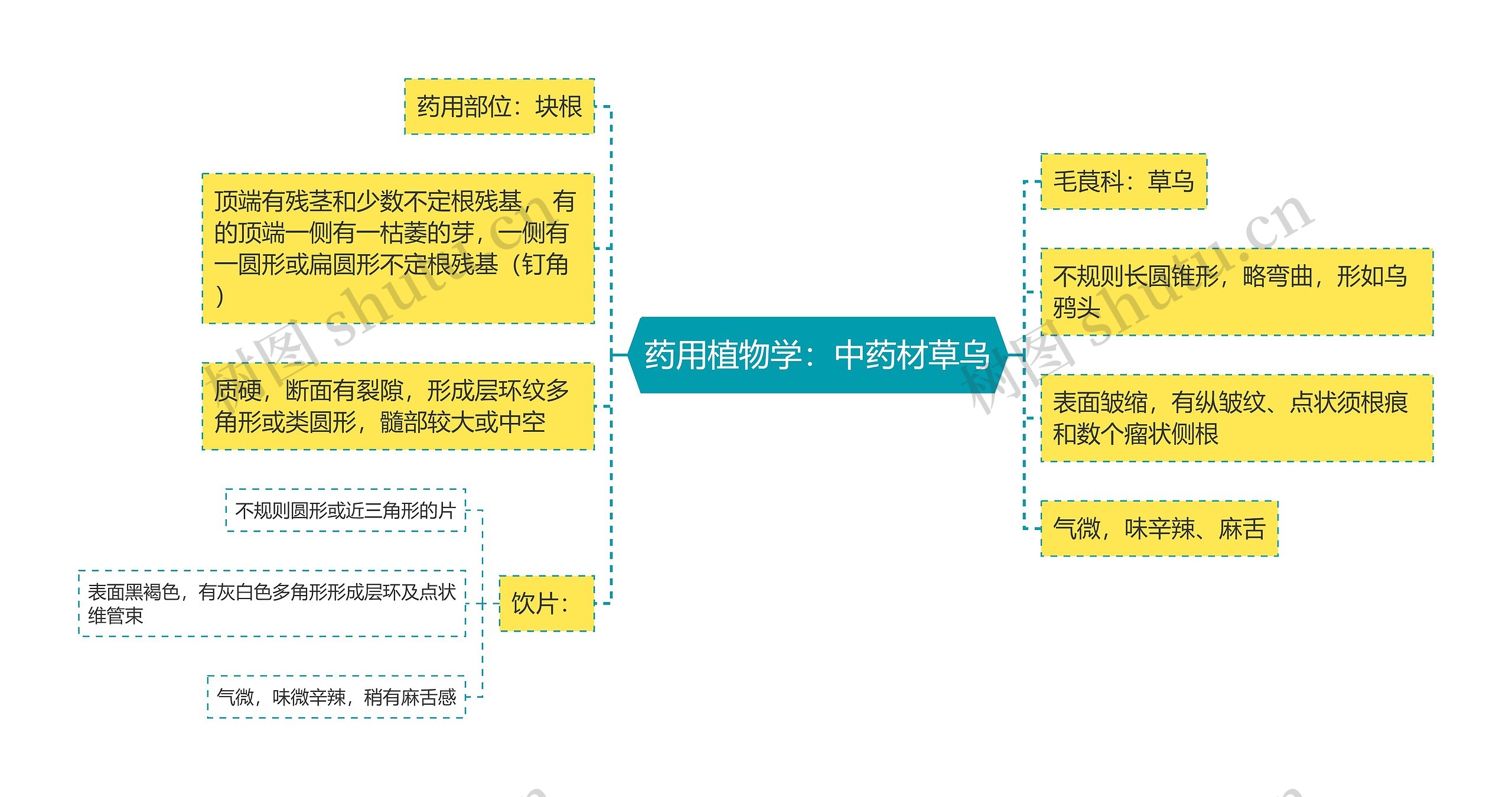 药用植物学：中药材草乌