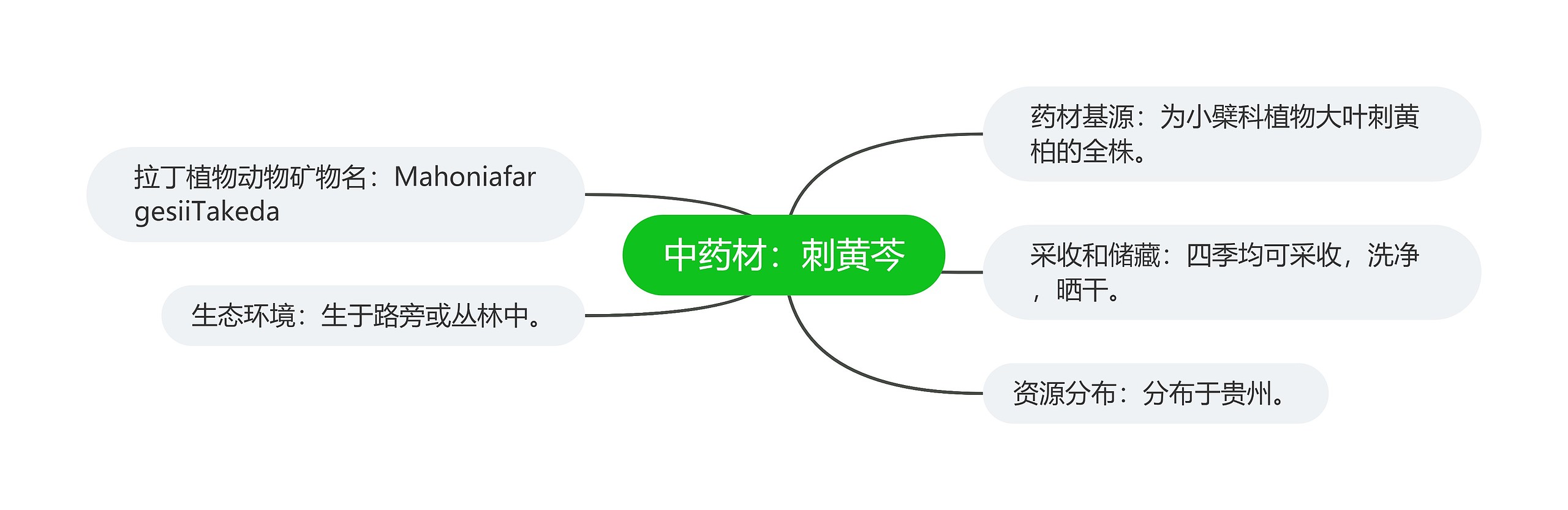 中药材：刺黄芩思维导图