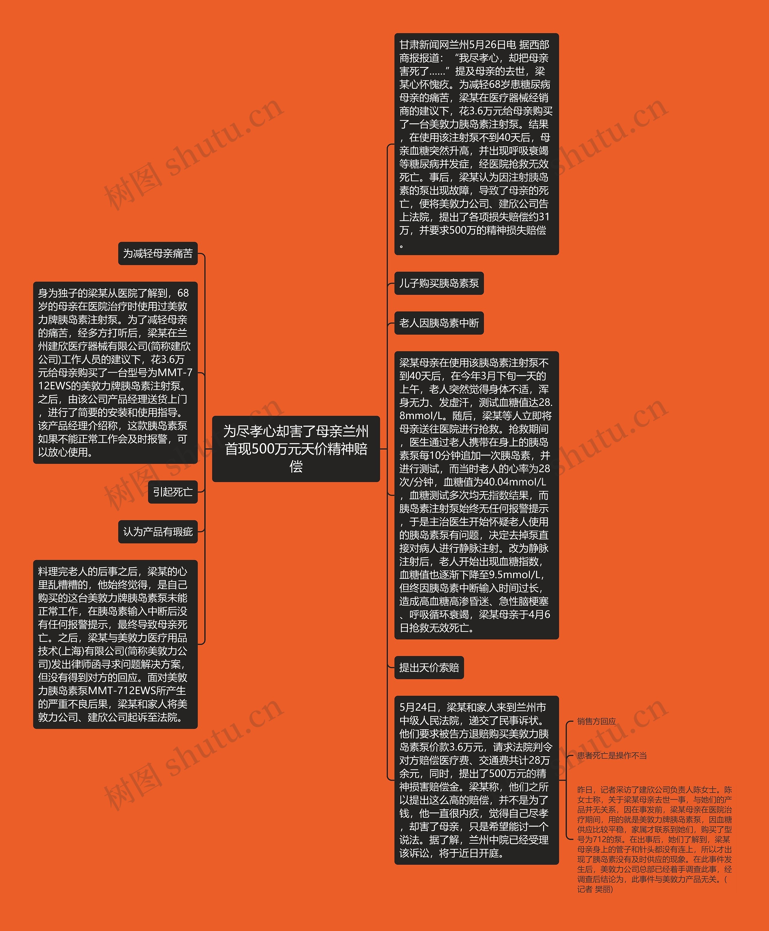 为尽孝心却害了母亲兰州首现500万元天价精神赔偿思维导图