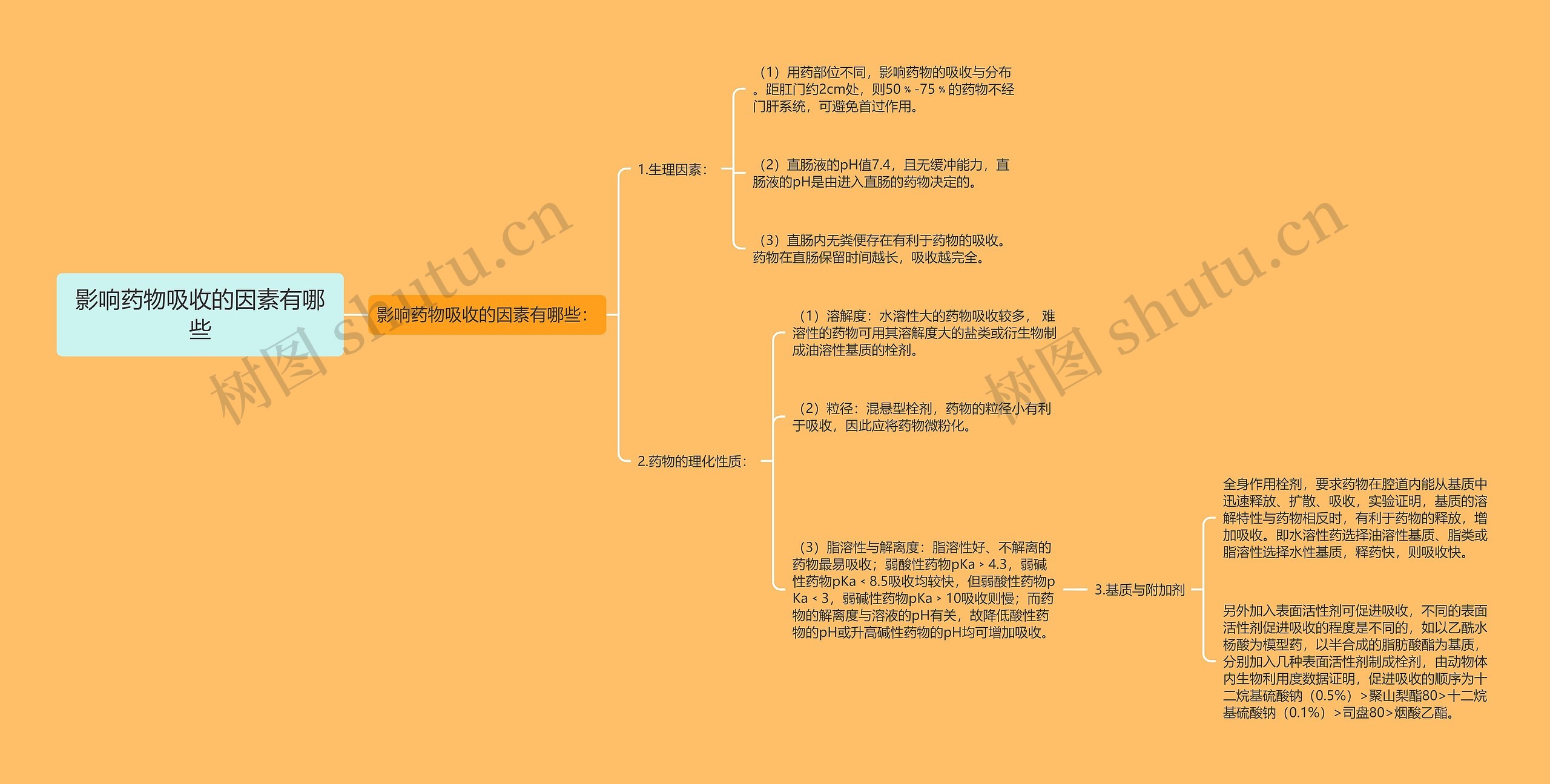 影响药物吸收的因素有哪些思维导图