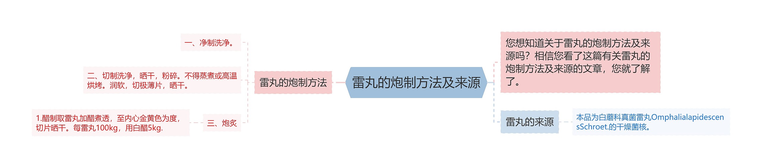 雷丸的炮制方法及来源