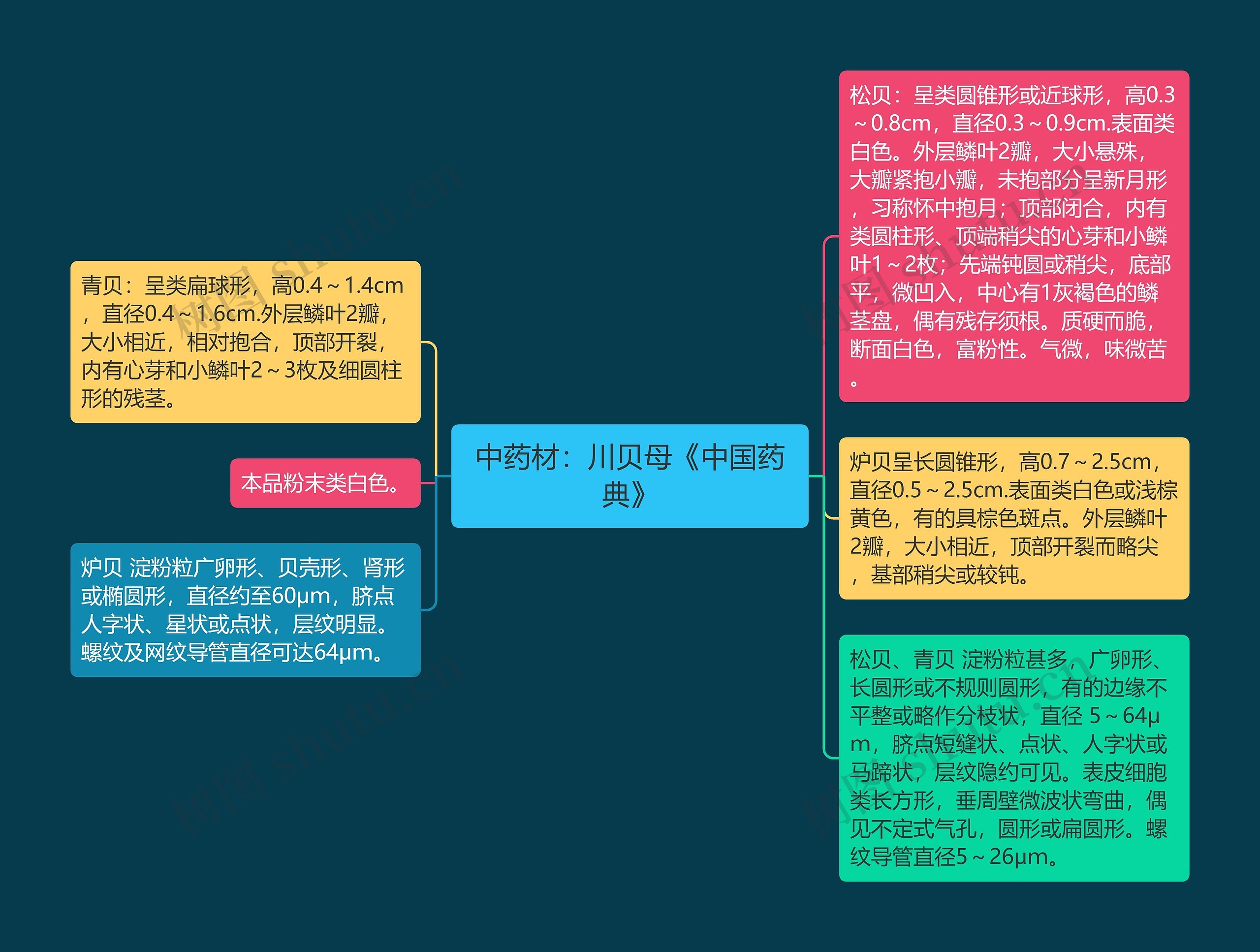 中药材：川贝母《中国药典》思维导图