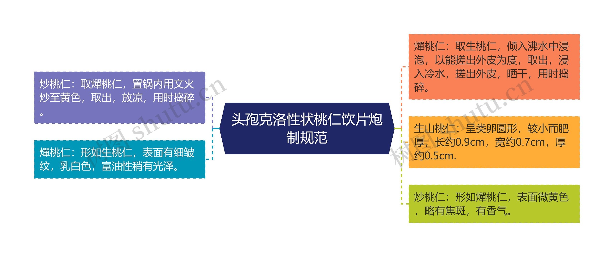 头孢克洛性状桃仁饮片炮制规范思维导图