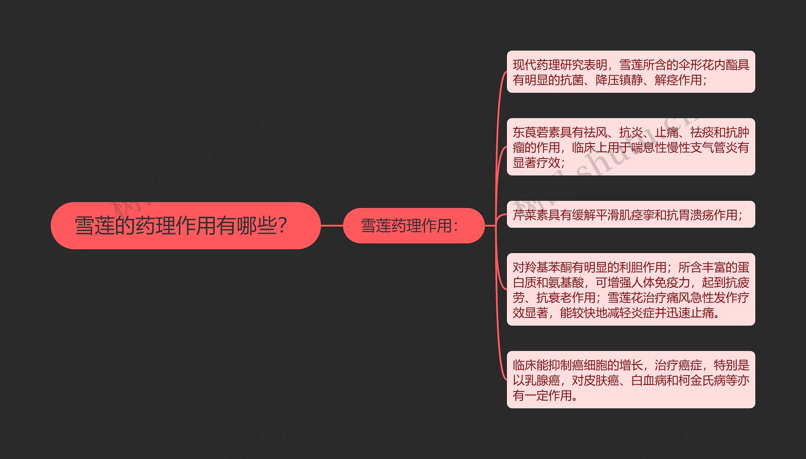 雪莲的药理作用有哪些？思维导图