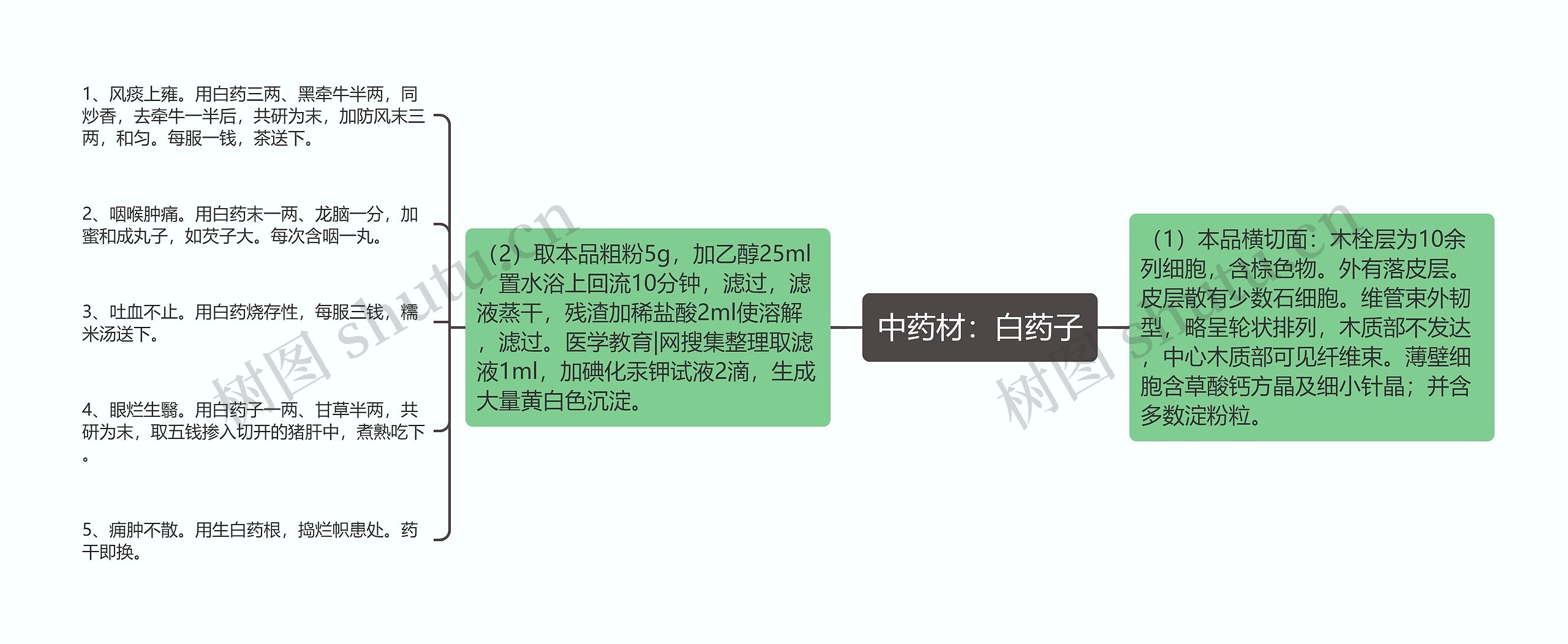 中药材:白药子 中药材:白药子