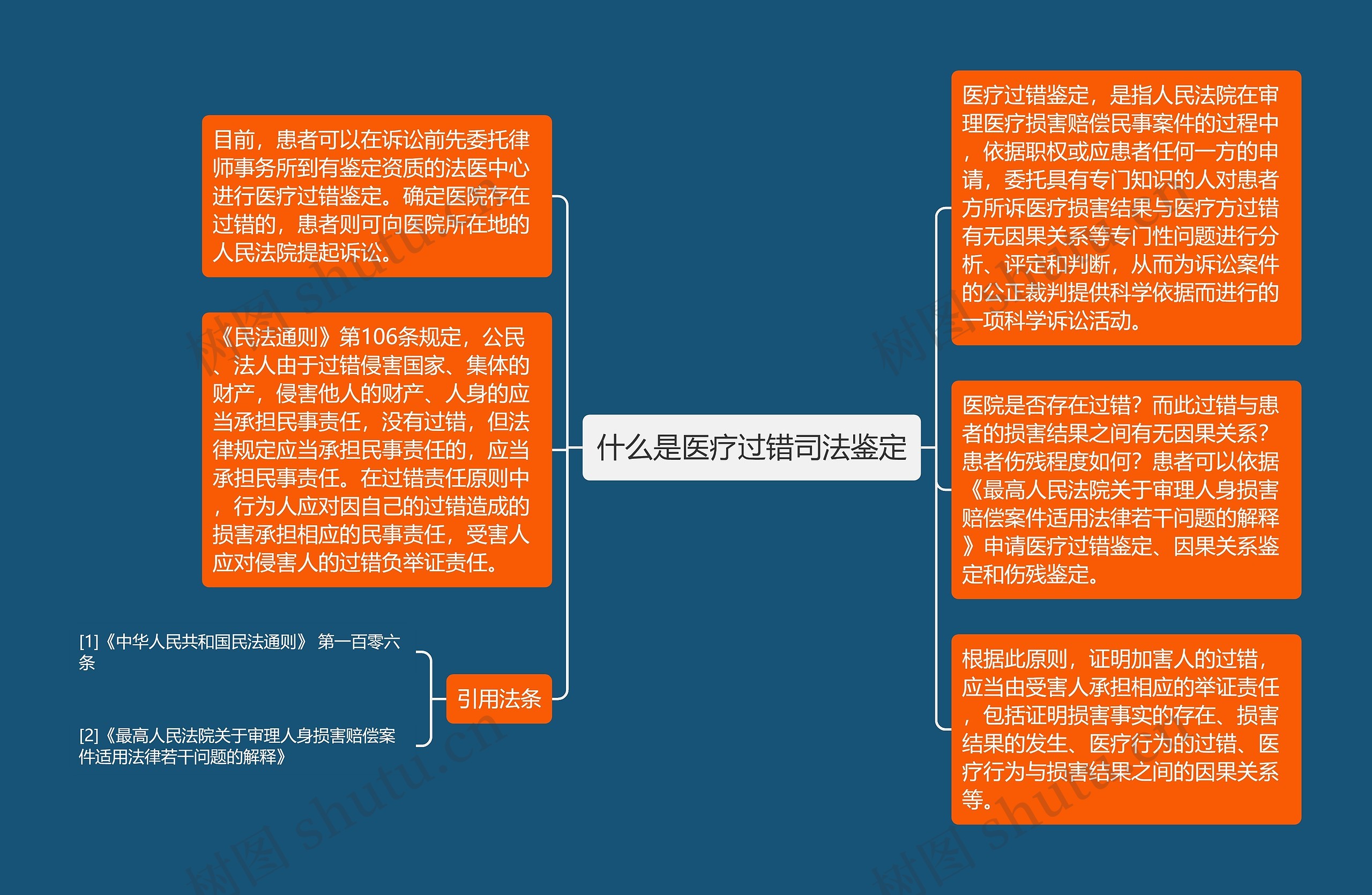 什么是医疗过错司法鉴定思维导图