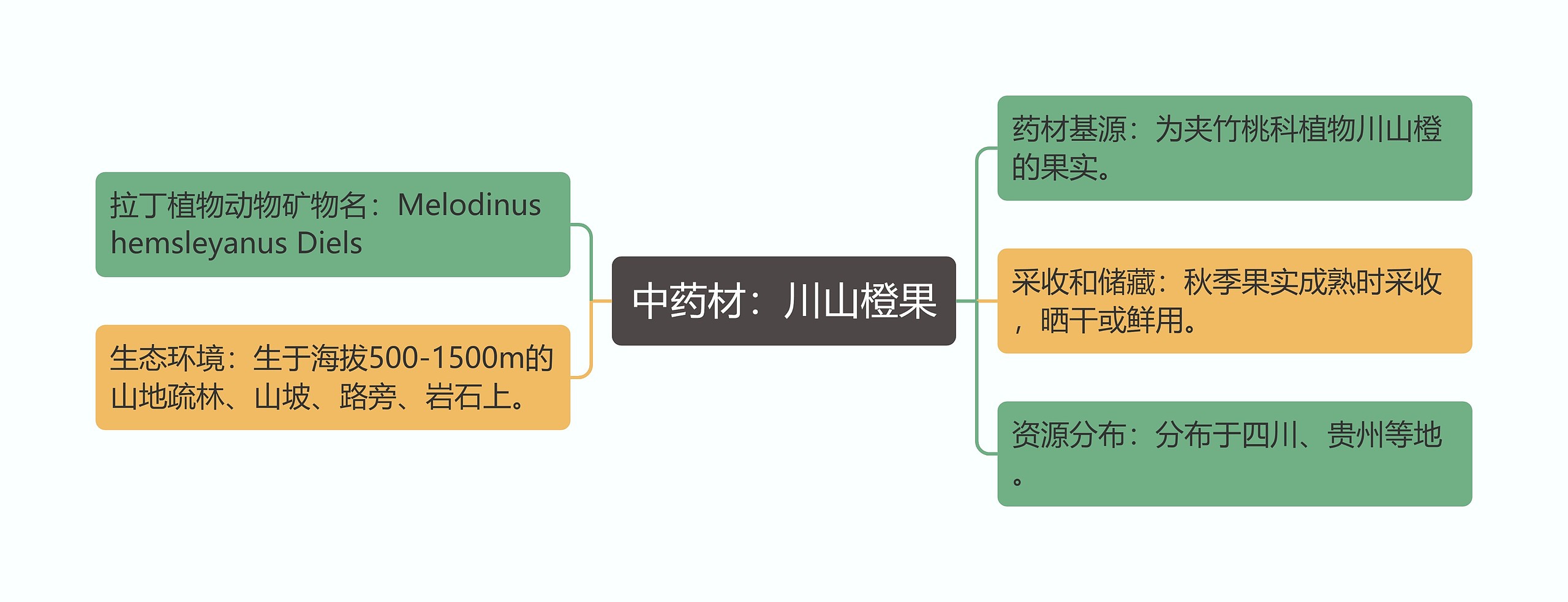 中药材：川山橙果思维导图