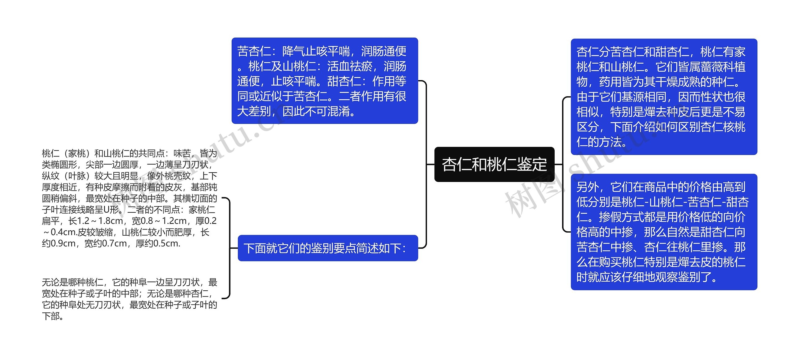 杏仁和桃仁鉴定思维导图