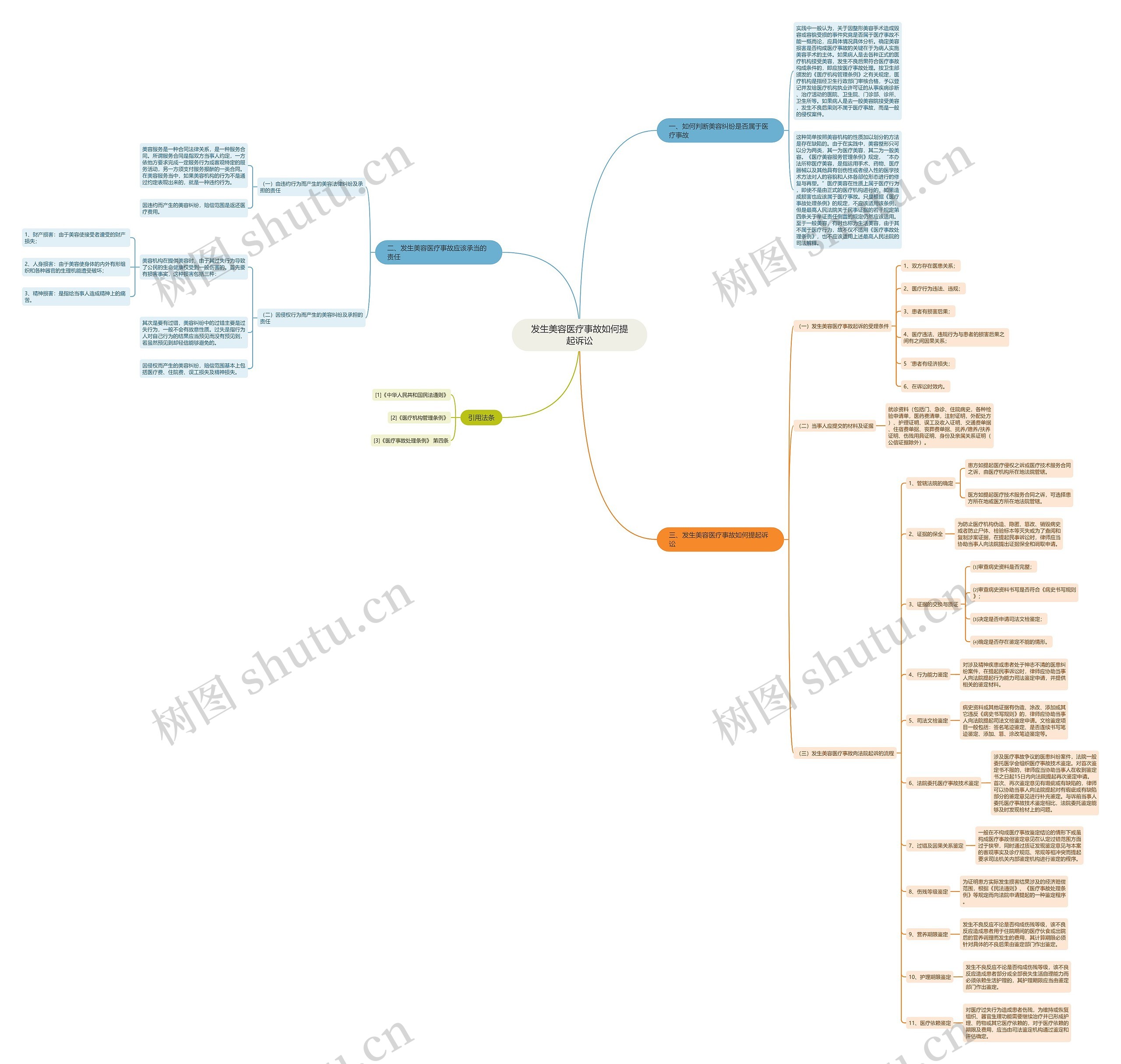 发生美容医疗事故如何提起诉讼思维导图