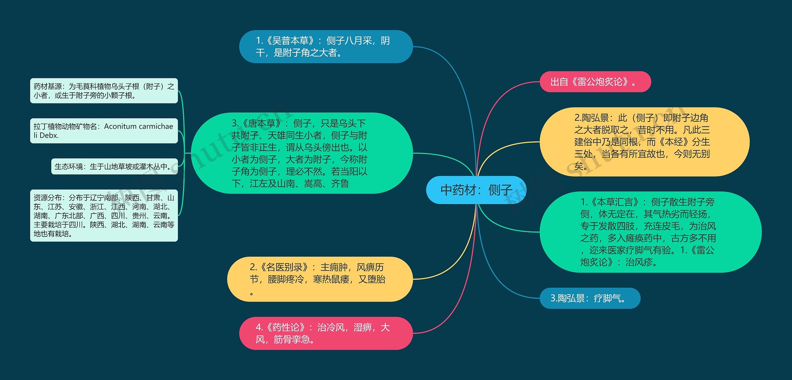 中药材：侧子思维导图