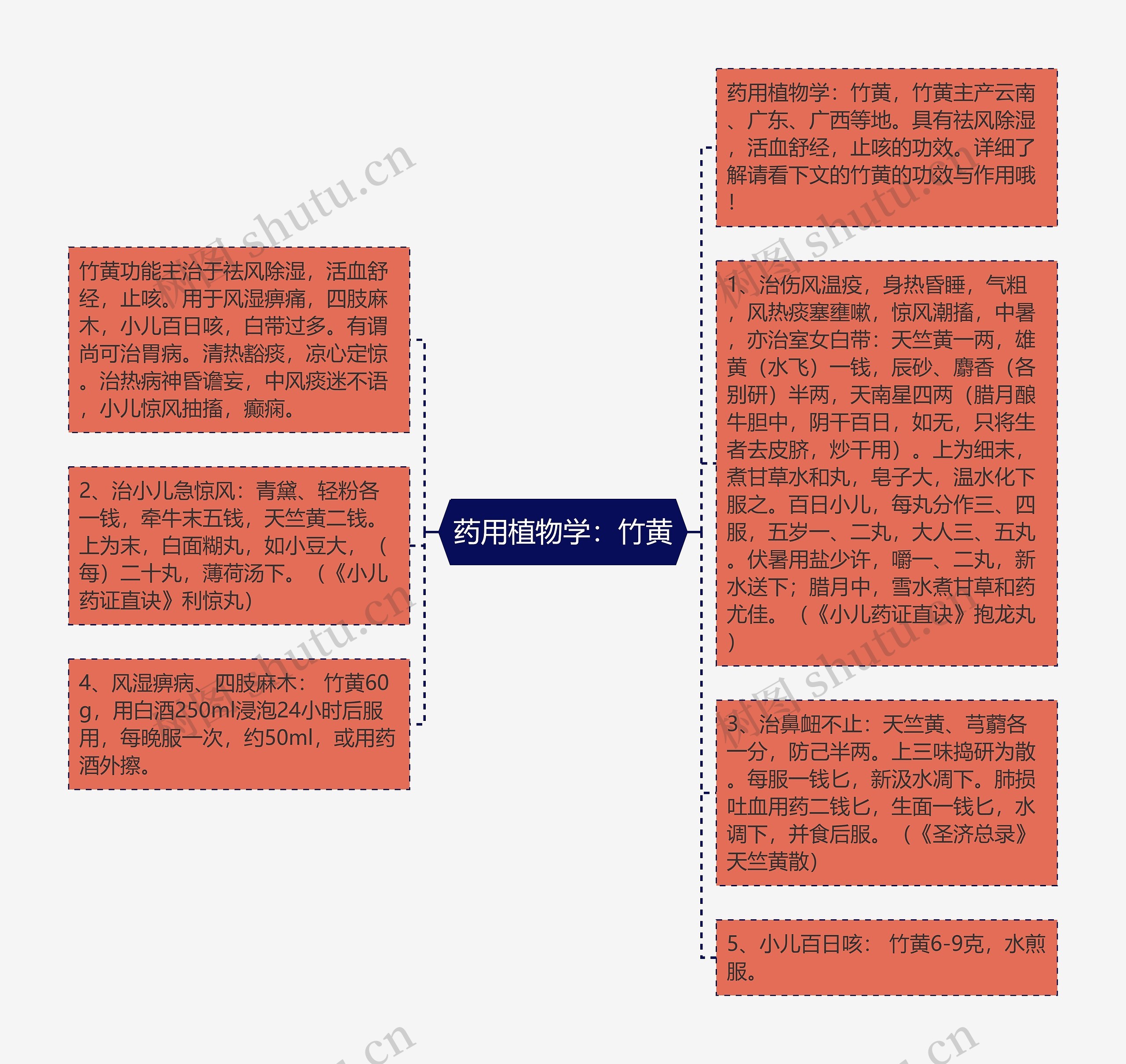 药用植物学：竹黄