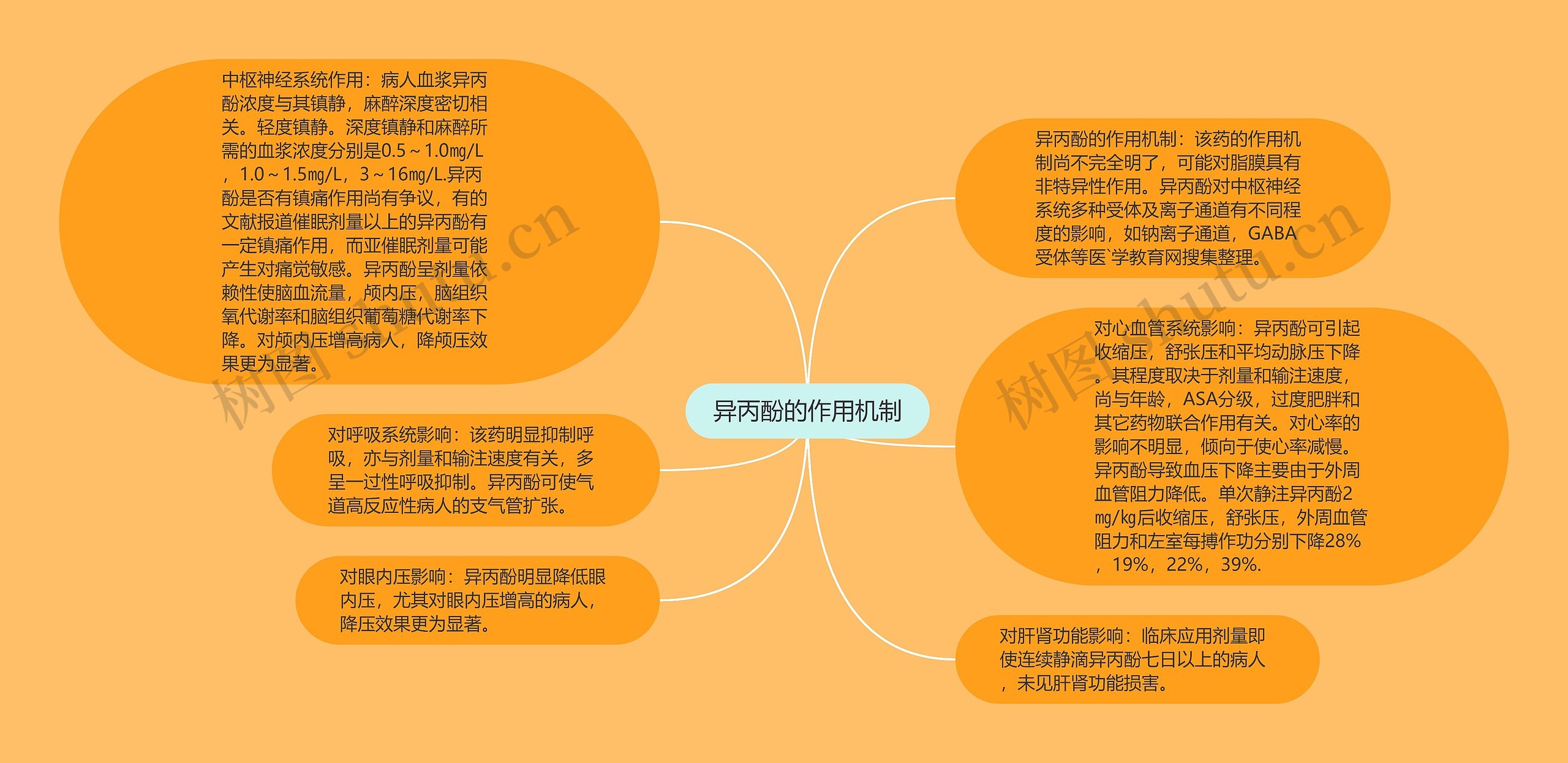 异丙酚的作用机制思维导图