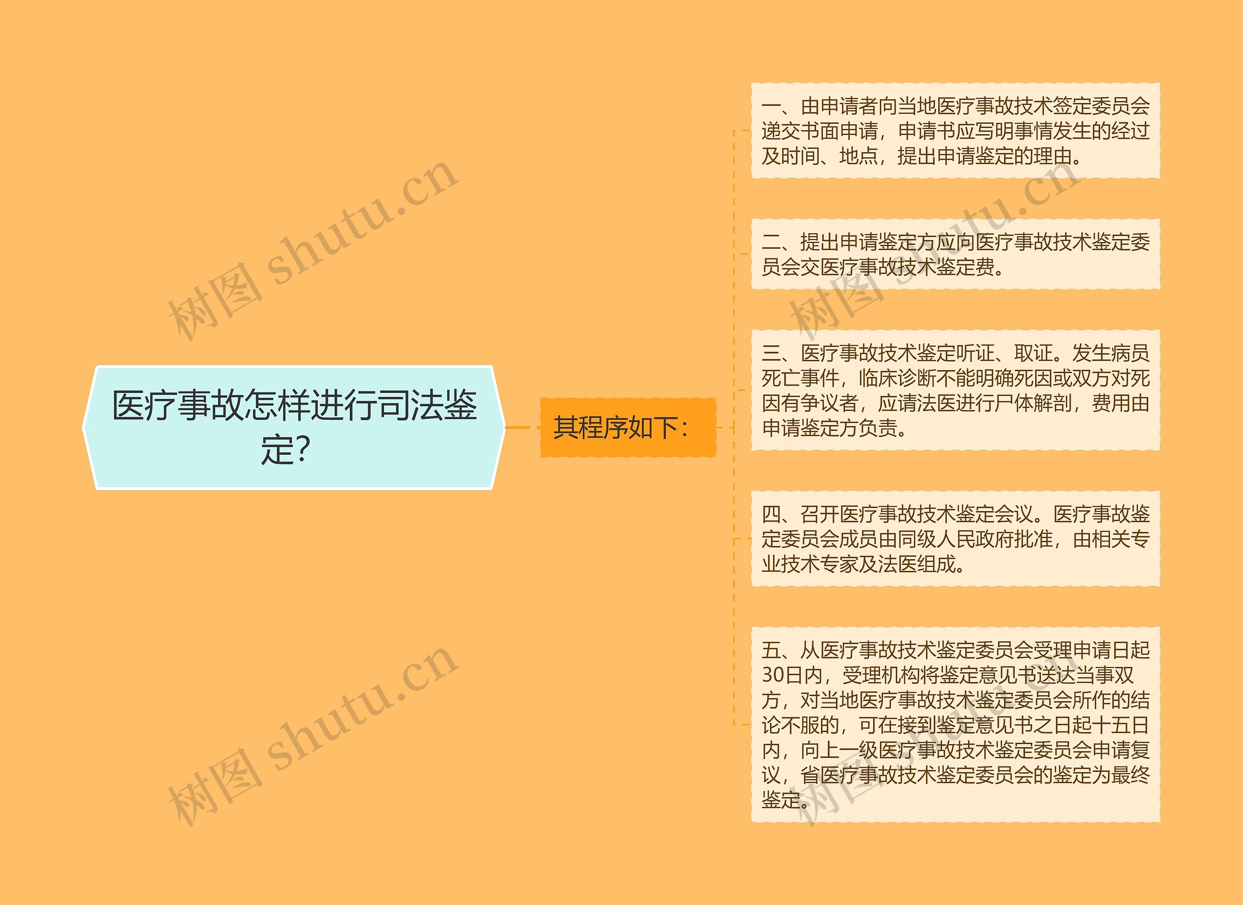 医疗事故怎样进行司法鉴定？思维导图