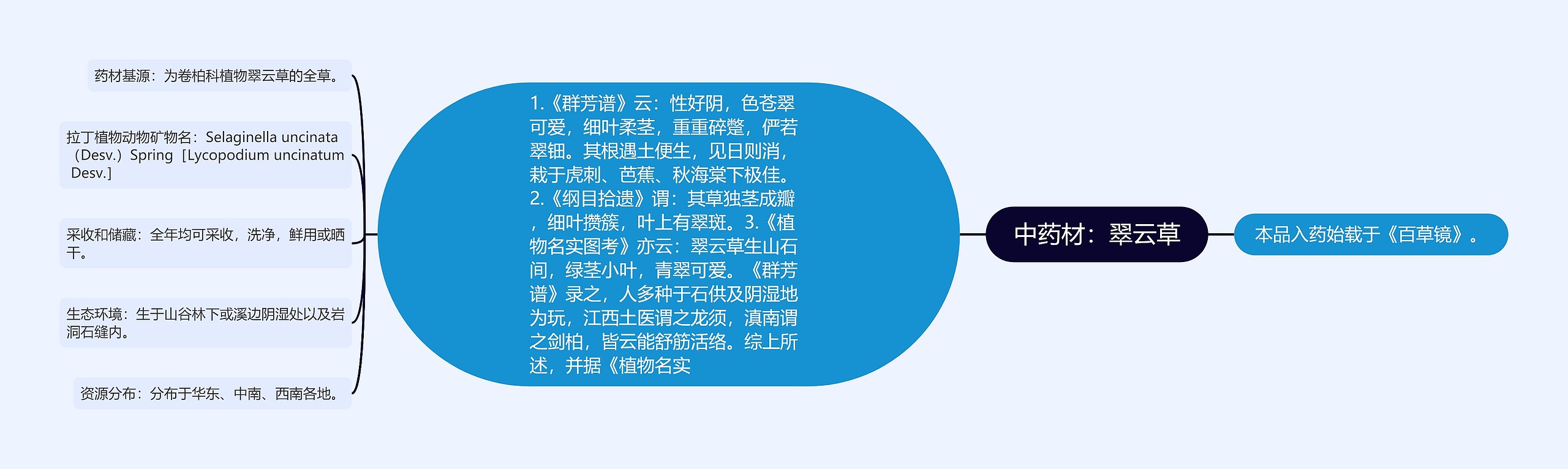 中药材:翠云草 中药材:翠云草