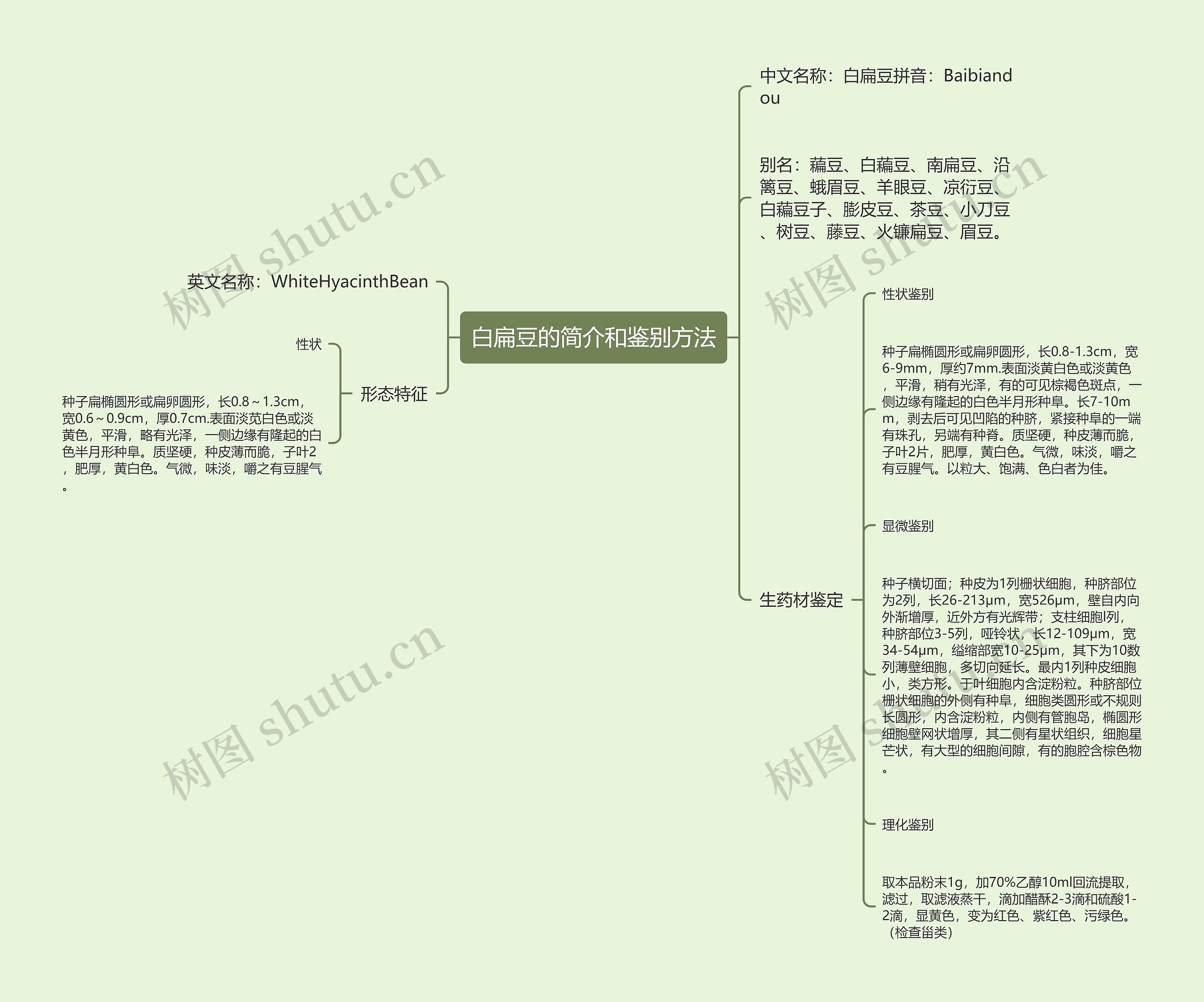 白扁豆的简介和鉴别方法思维导图