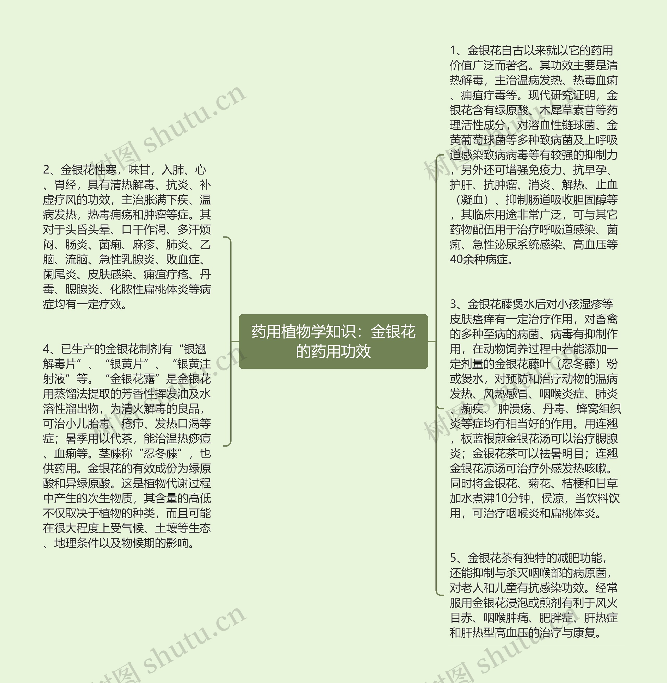 药用植物学知识：金银花的药用功效