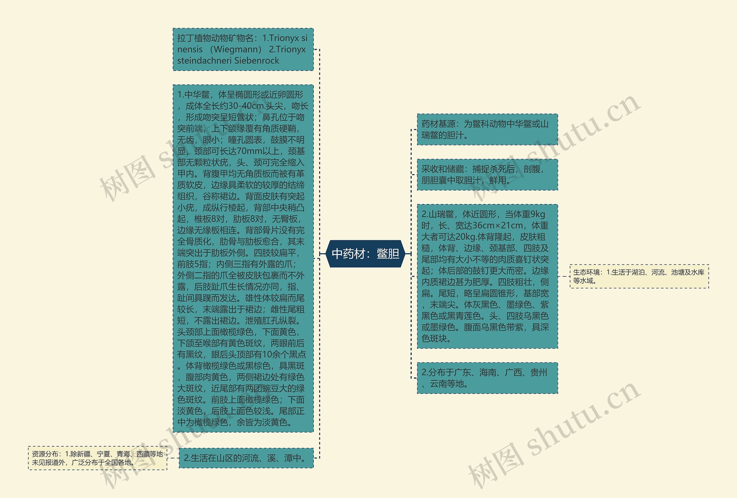 中药材：鳖胆思维导图