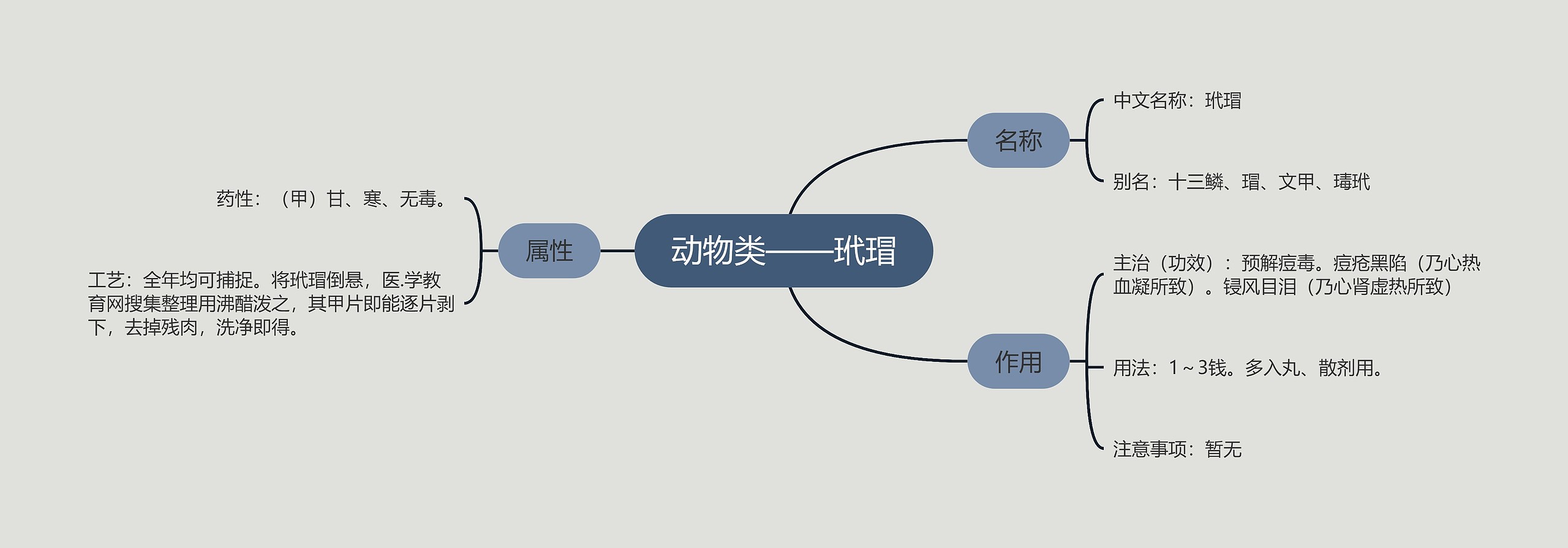 动物类——玳瑁思维导图