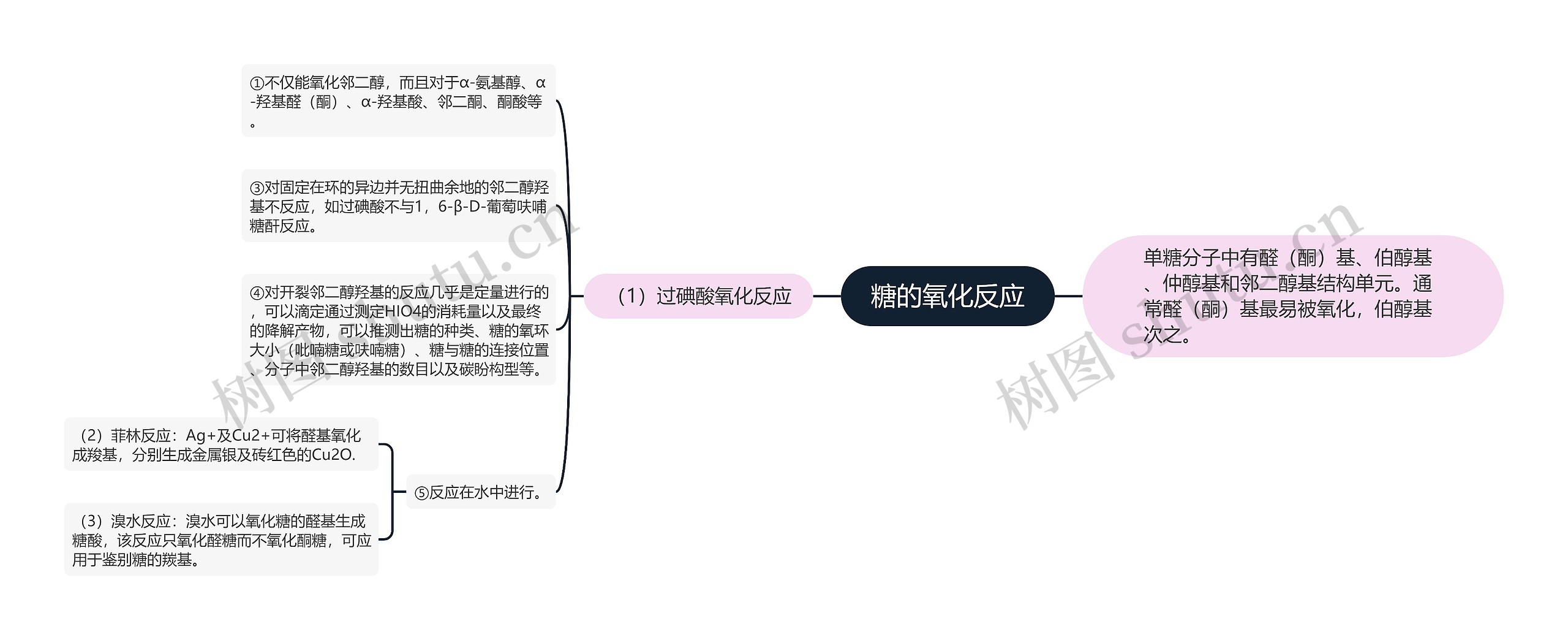 糖的氧化反应思维导图