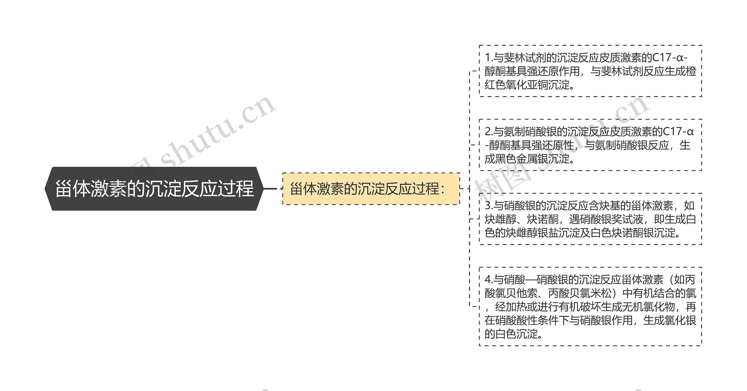 甾体激素的沉淀反应过程思维导图