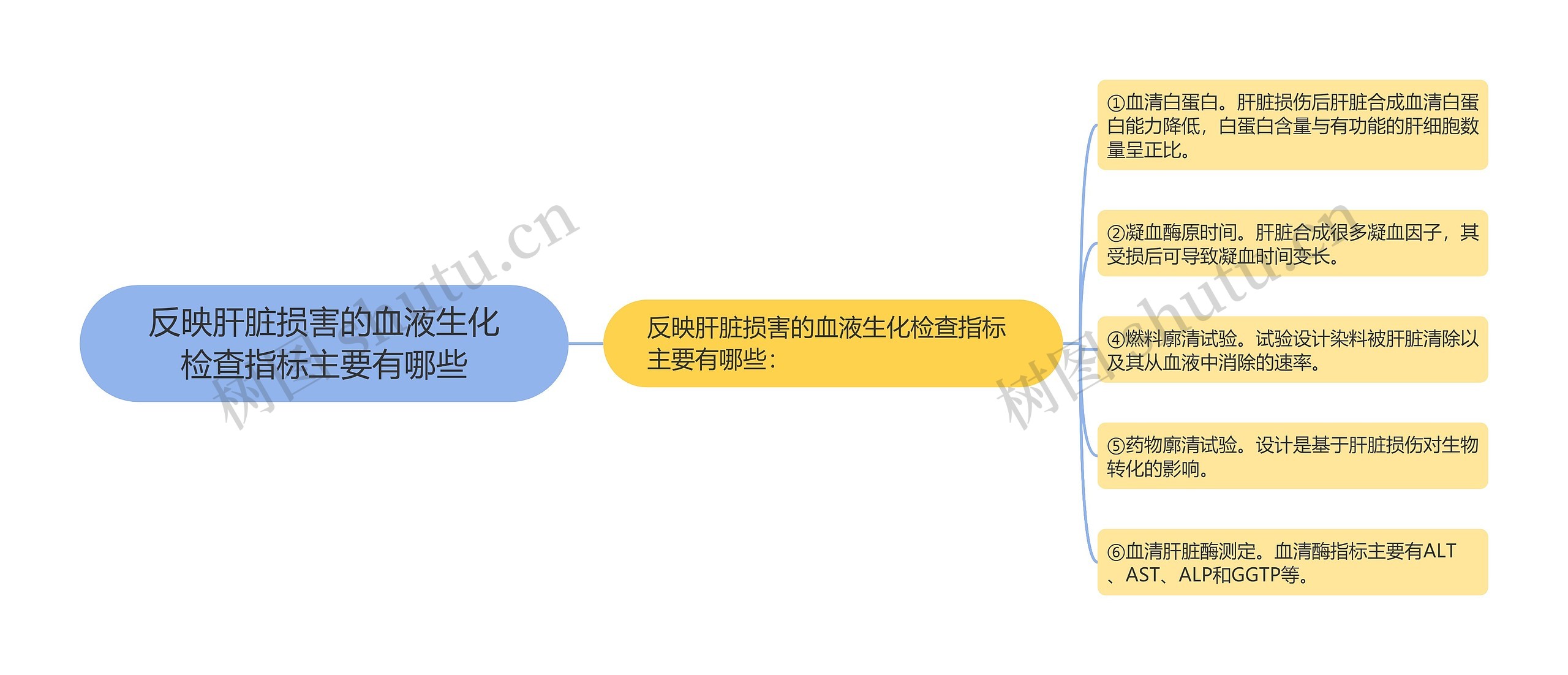 反映肝脏损害的血液生化检查指标主要有哪些