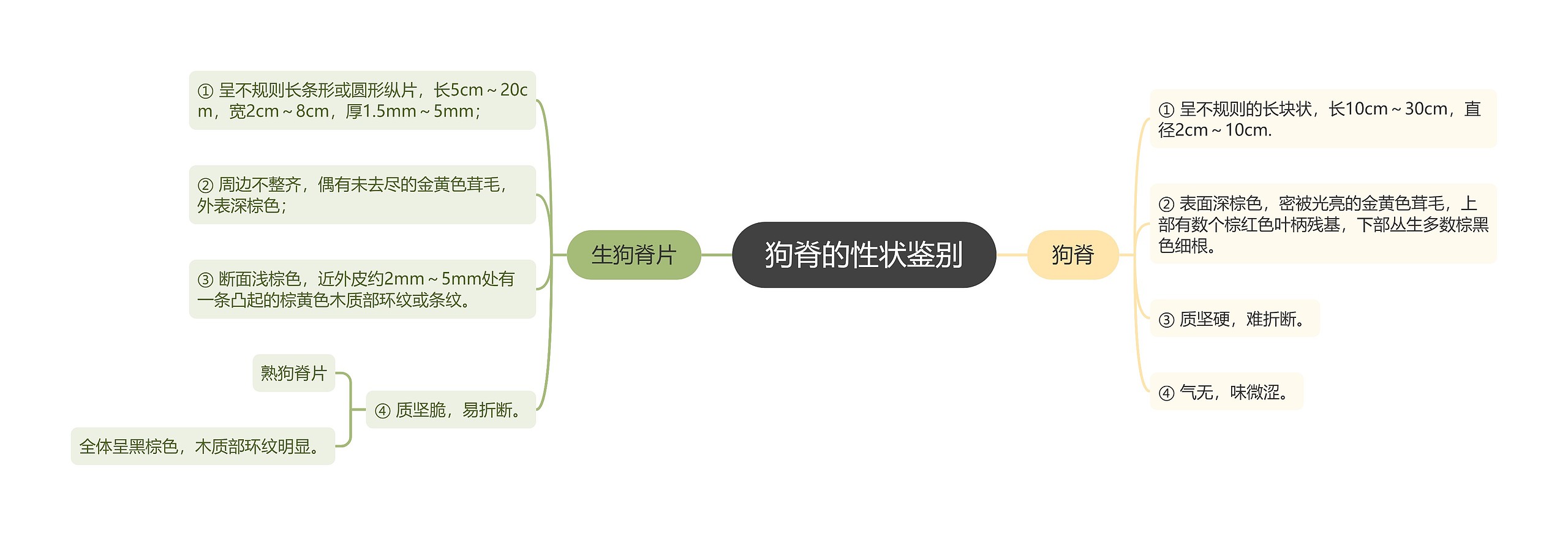 狗脊的性状鉴别思维导图