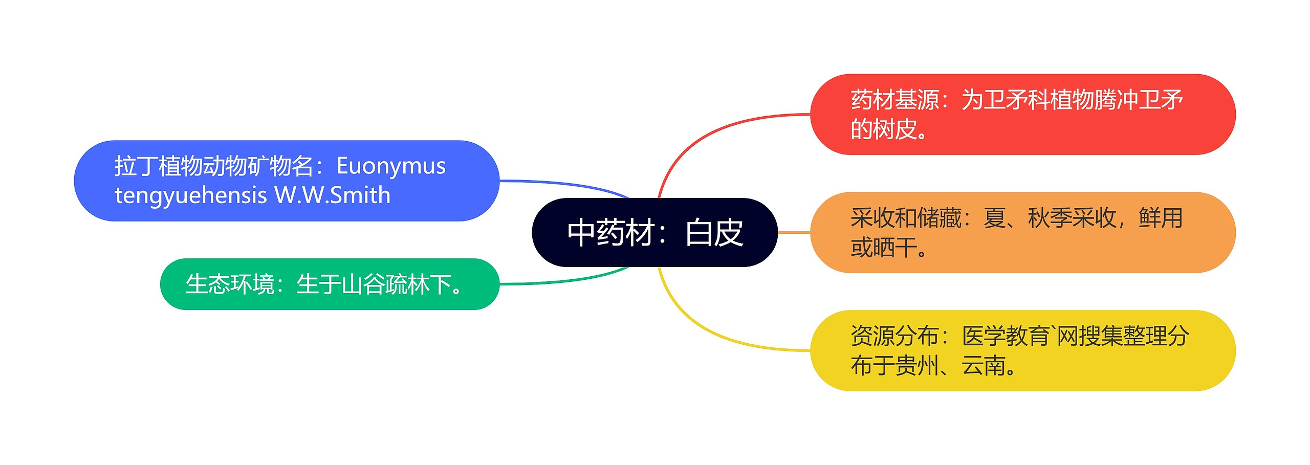 中药材：白皮思维导图