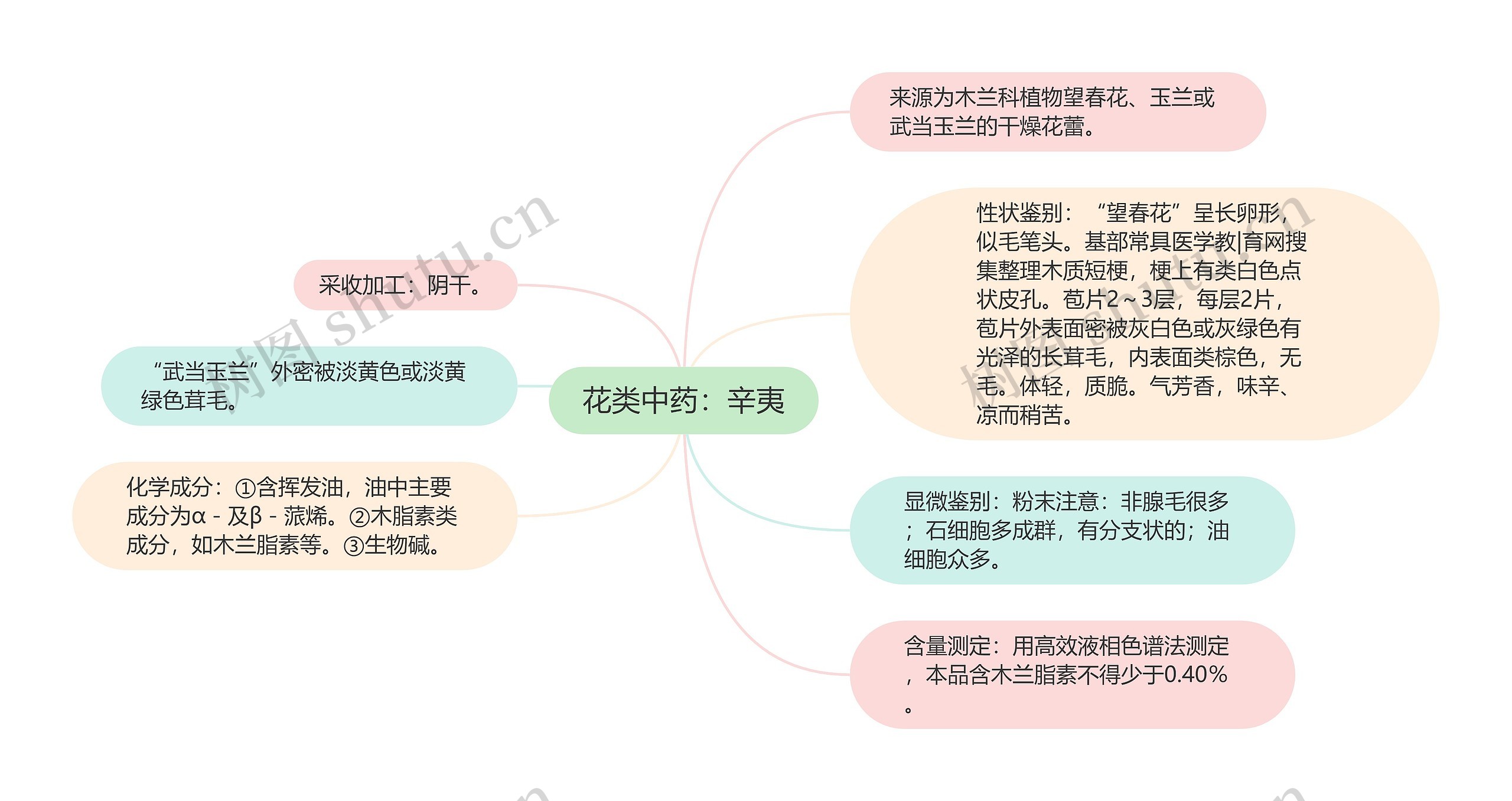 花类中药：辛夷思维导图