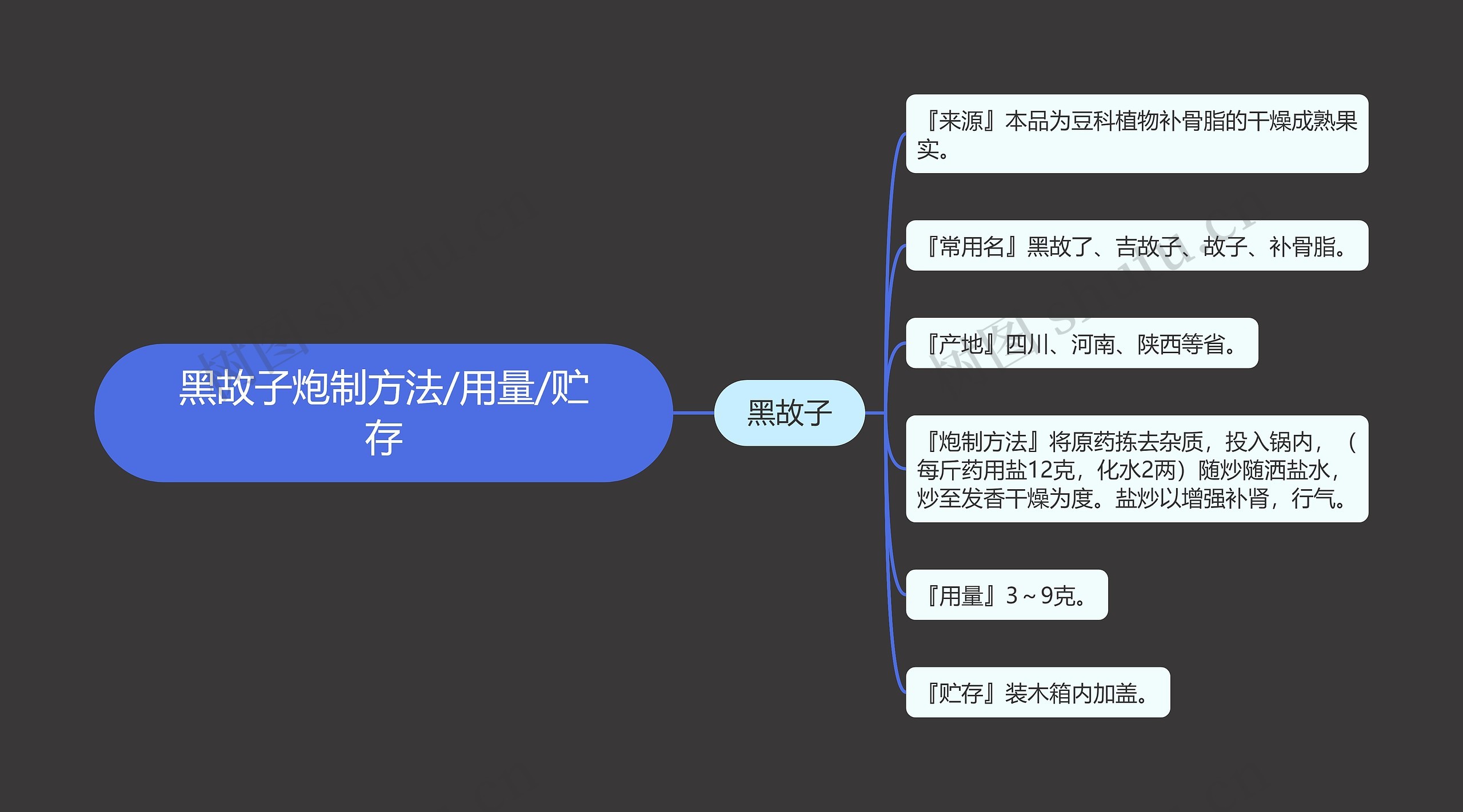 黑故子炮制方法/用量/贮存思维导图