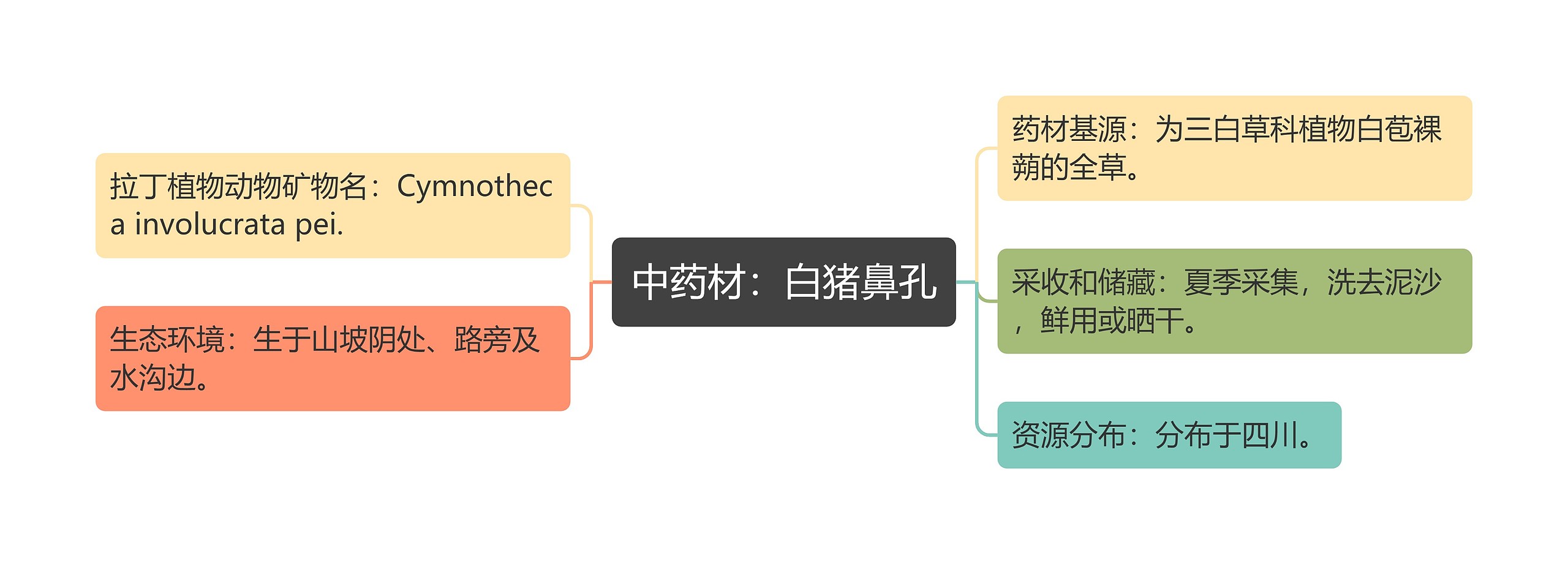 中药材：白猪鼻孔思维导图