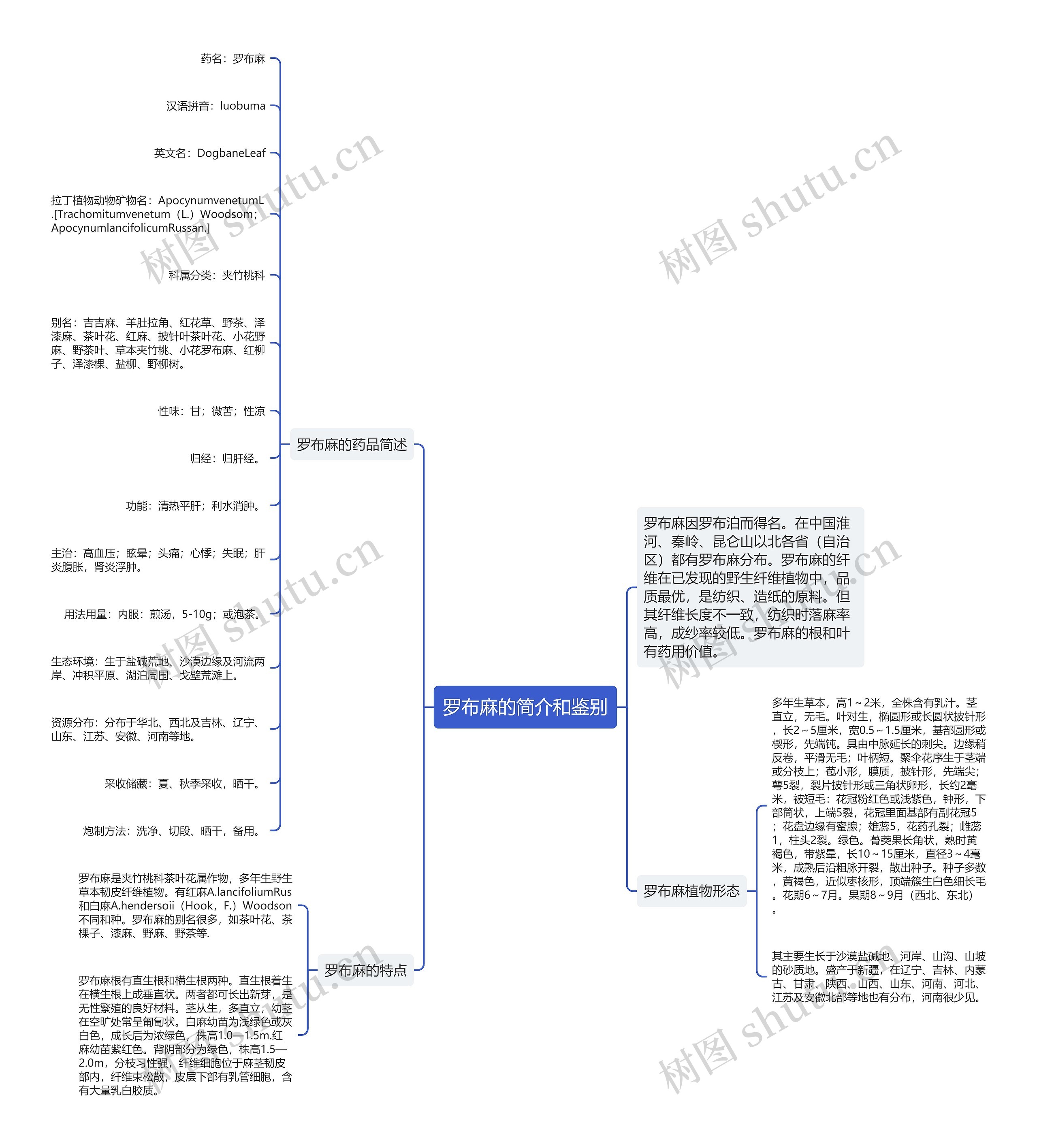 罗布麻的简介和鉴别 罗布麻的简介和鉴别