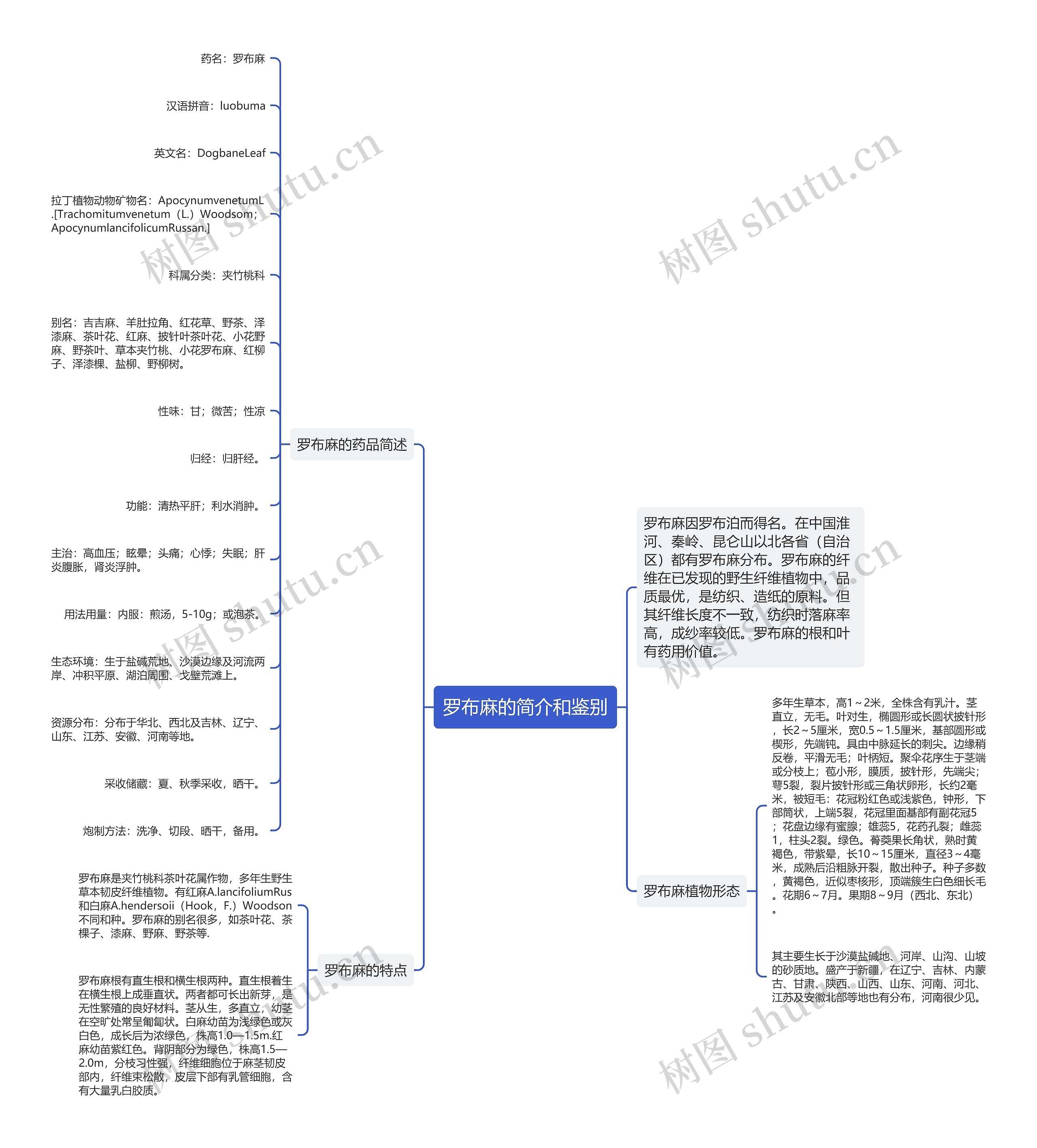 罗布麻的简介和鉴别思维导图