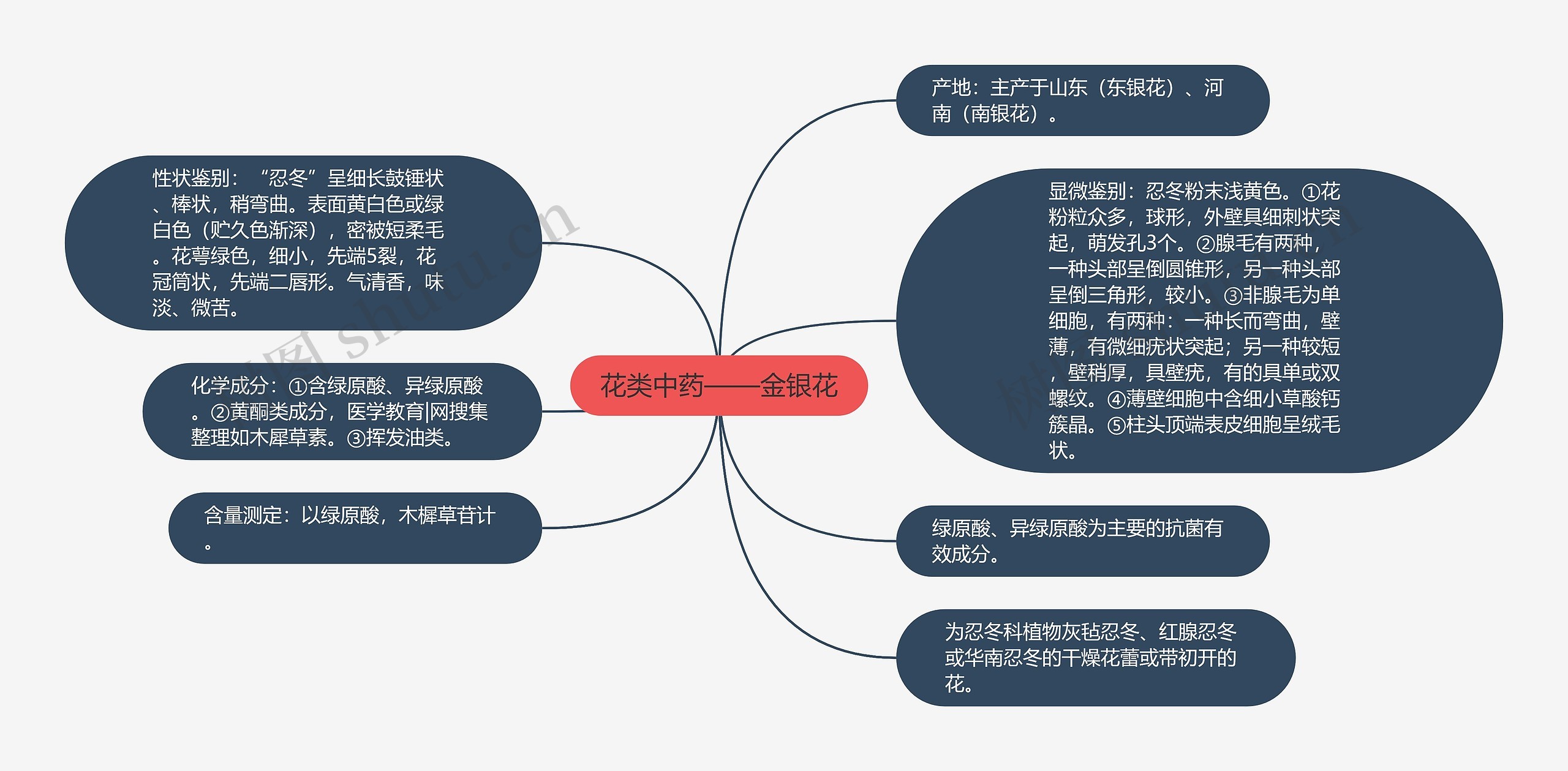 花类中药——金银花思维导图