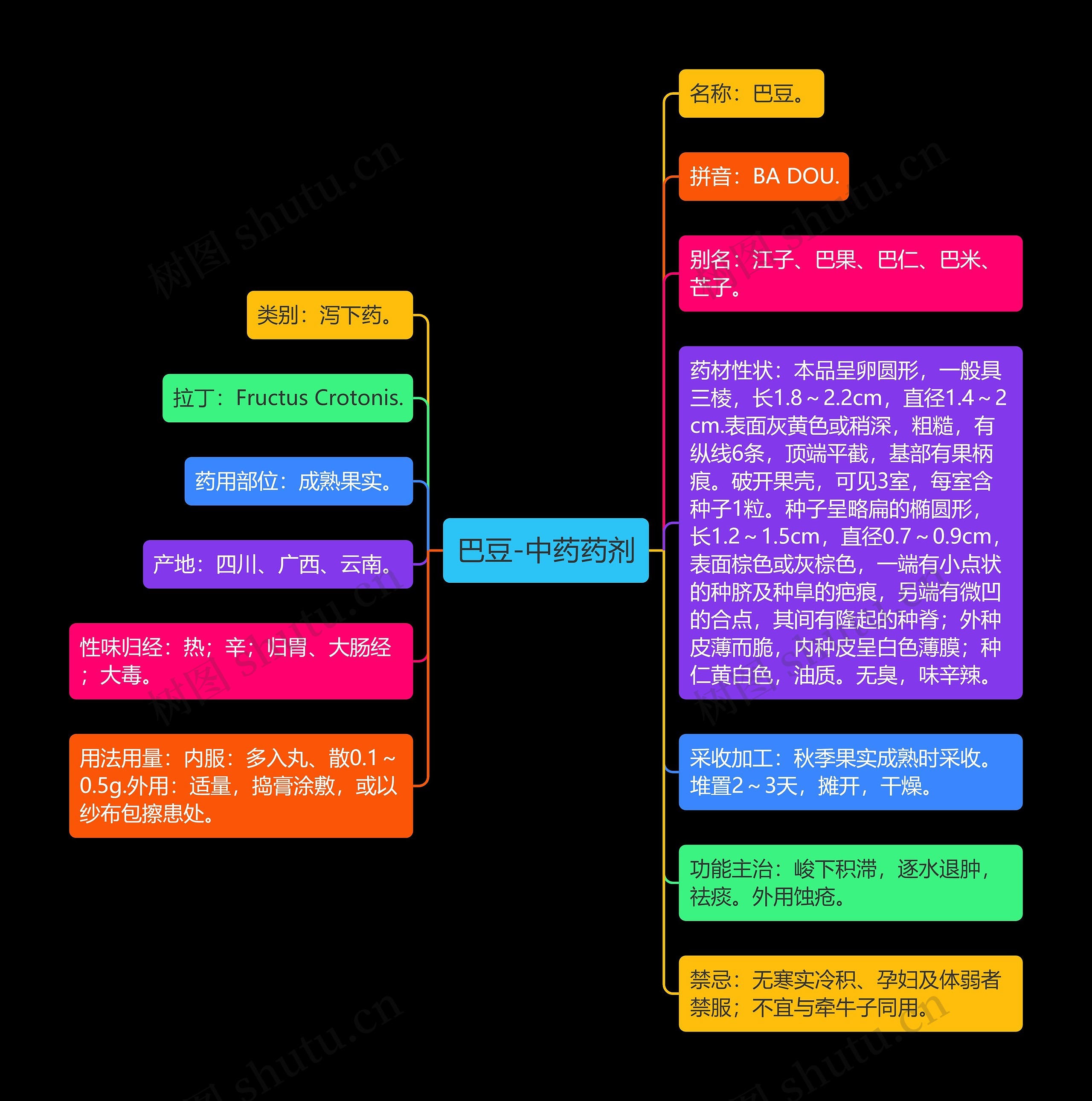 巴豆-中药药剂思维导图